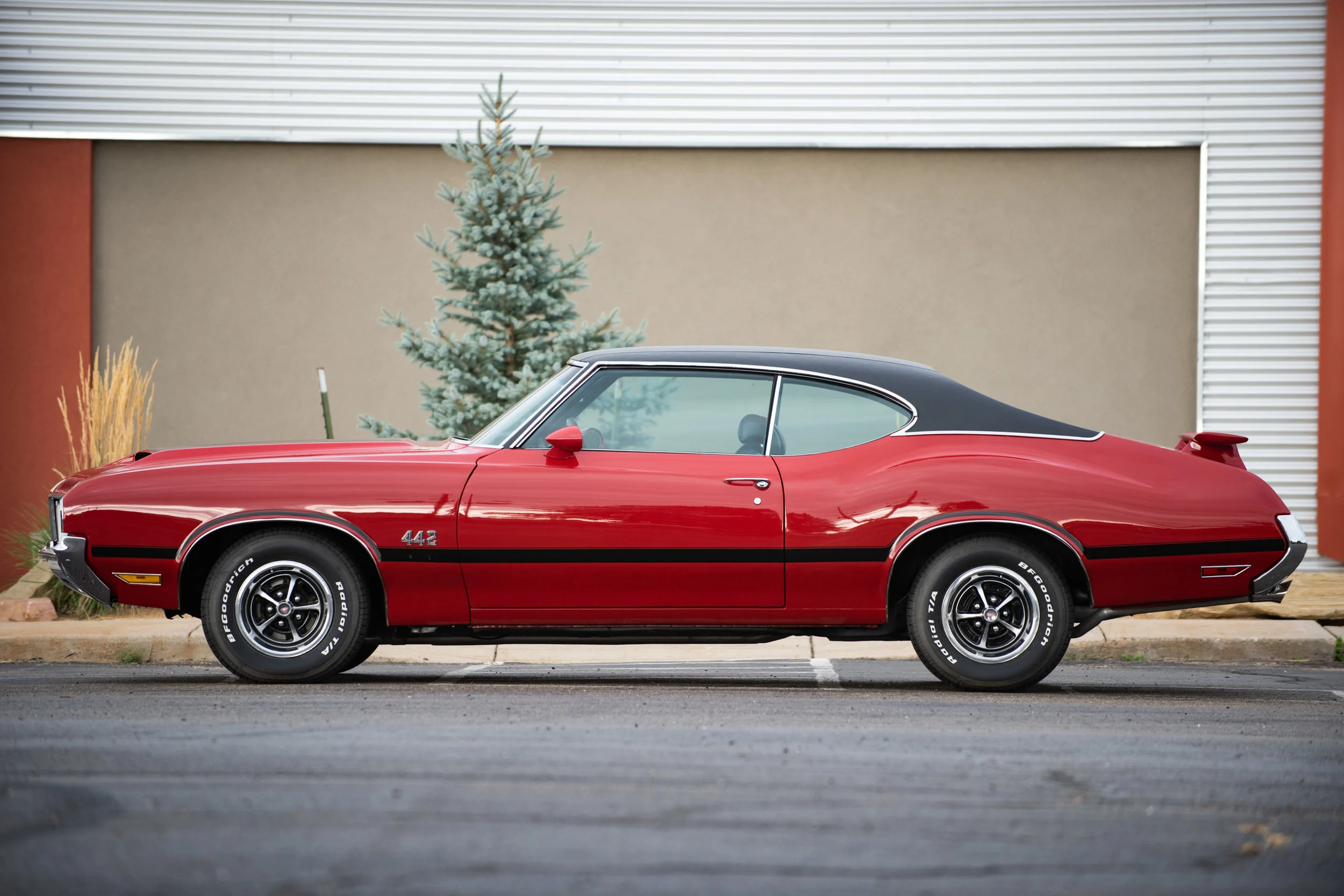 Red442_01.jpg