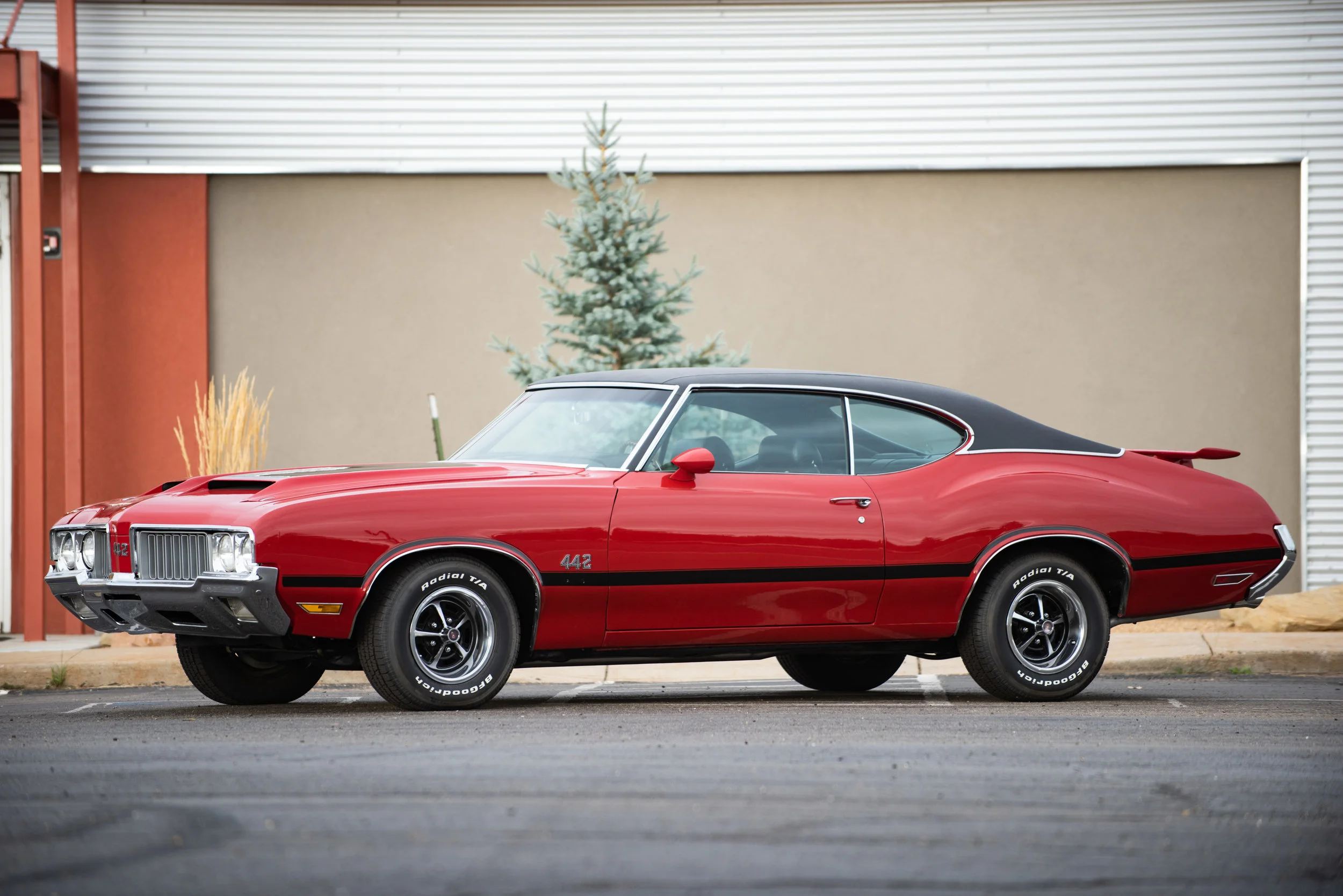 Red442_02.jpg
