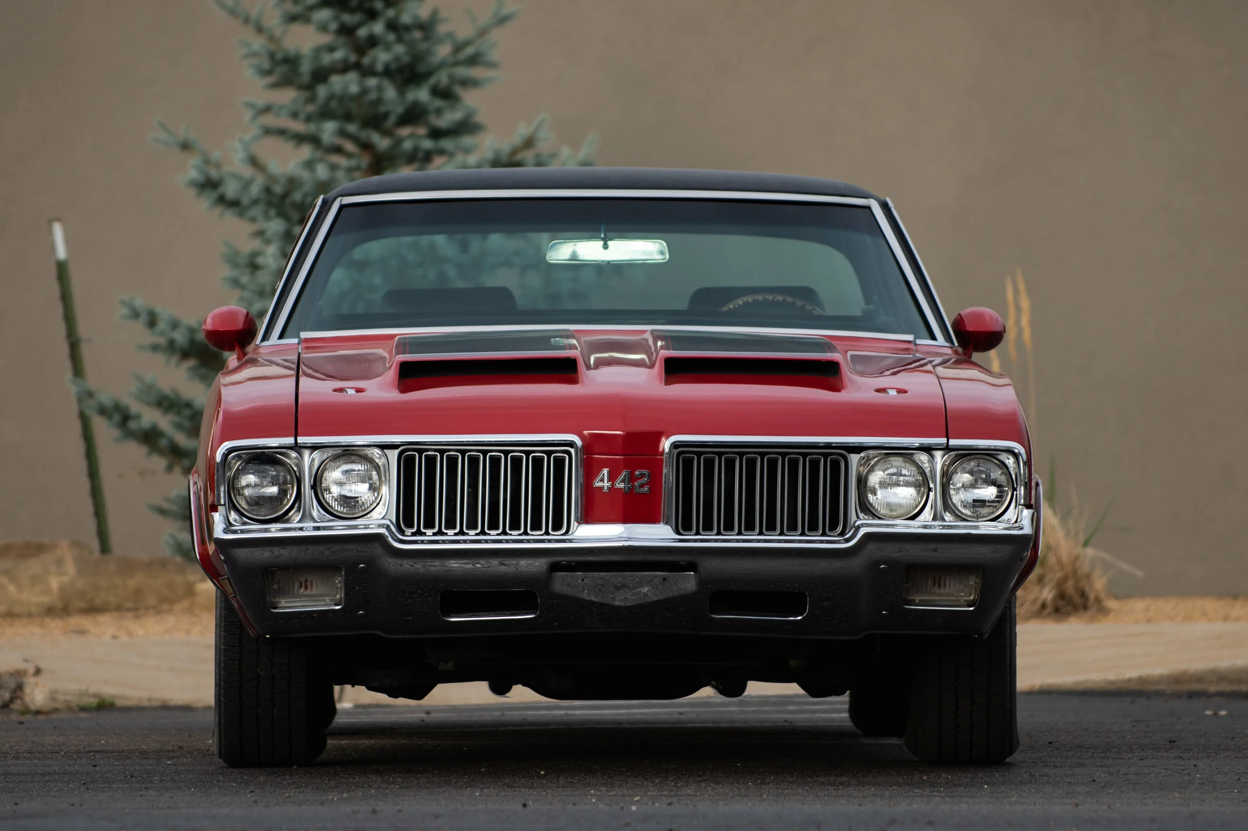 Red442_03.jpg