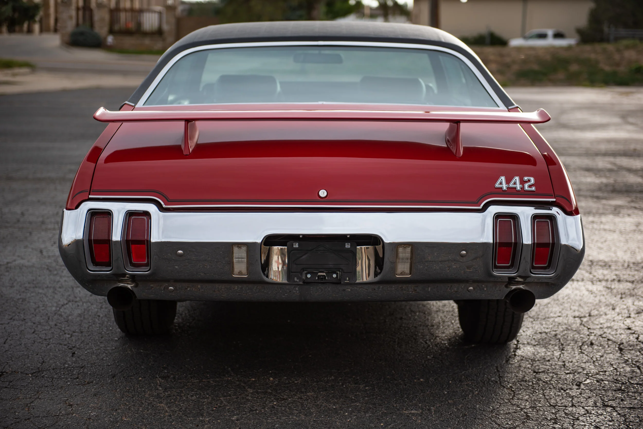 Red442_04.jpg