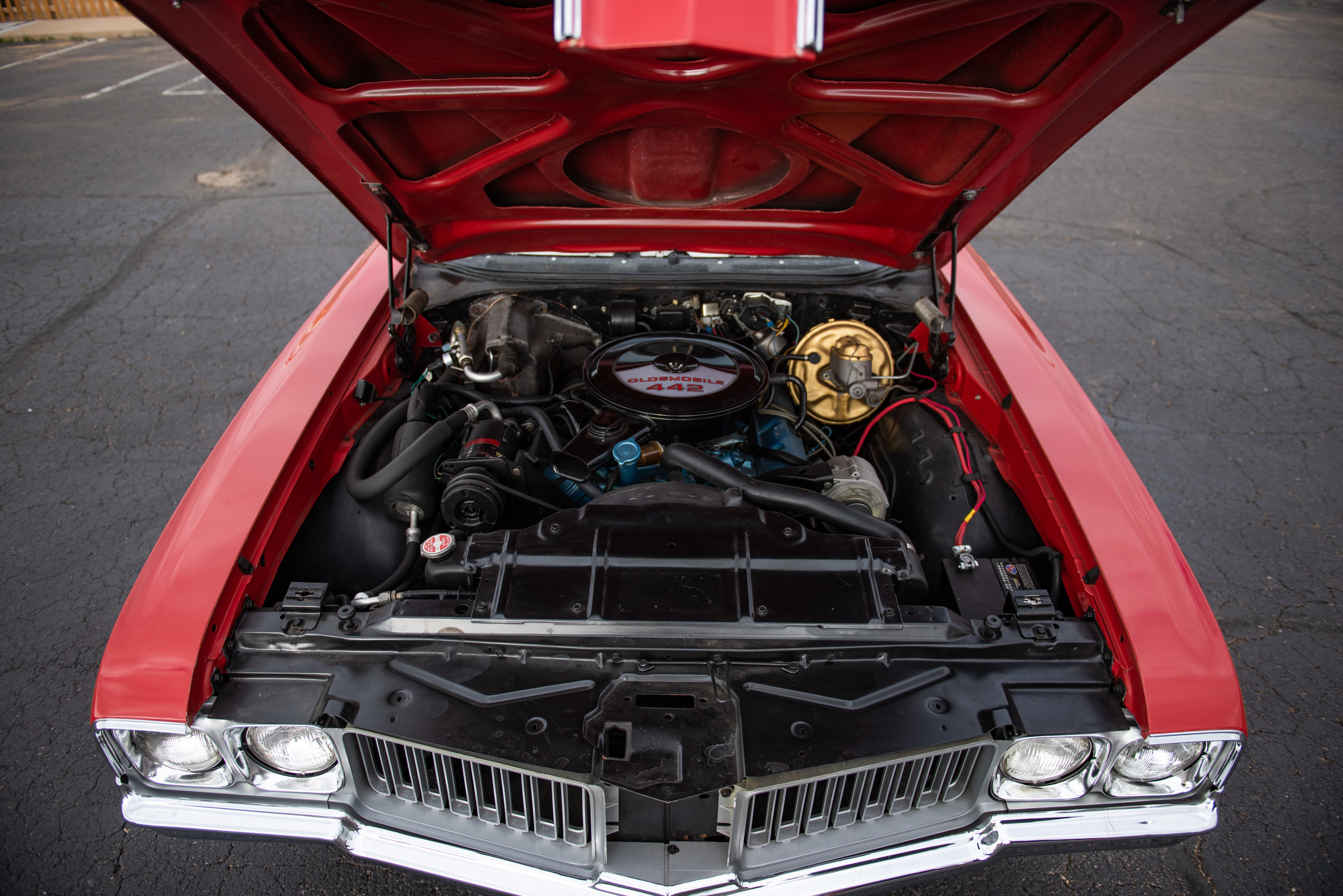 Red442_11.jpg
