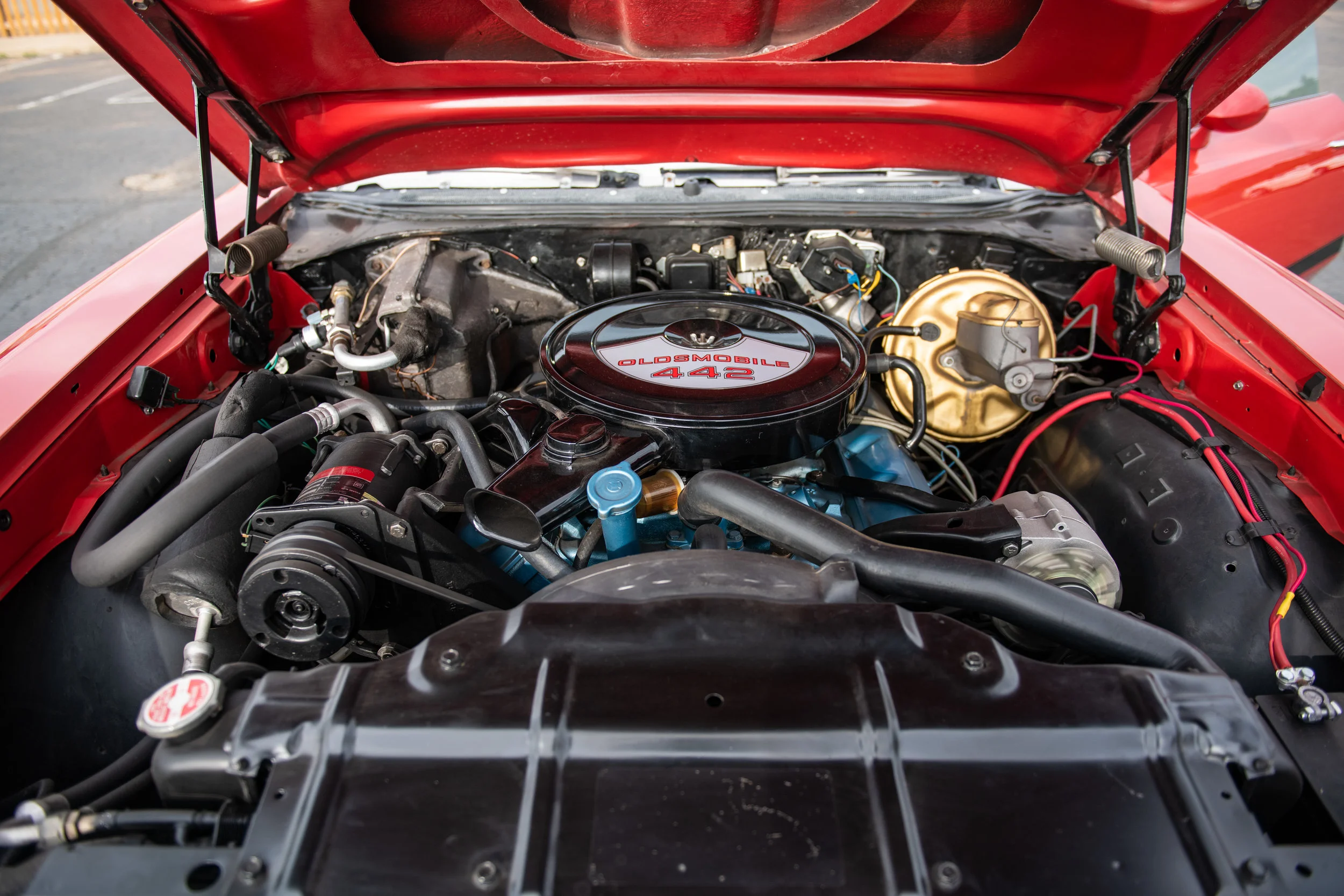 Red442_09.jpg