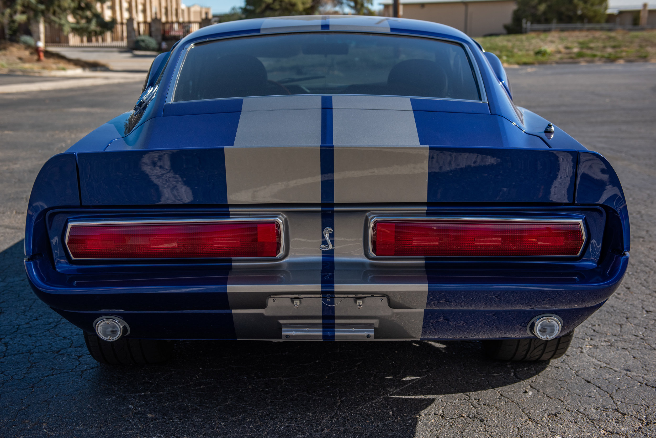 BlueShelbyGT500_07.jpg