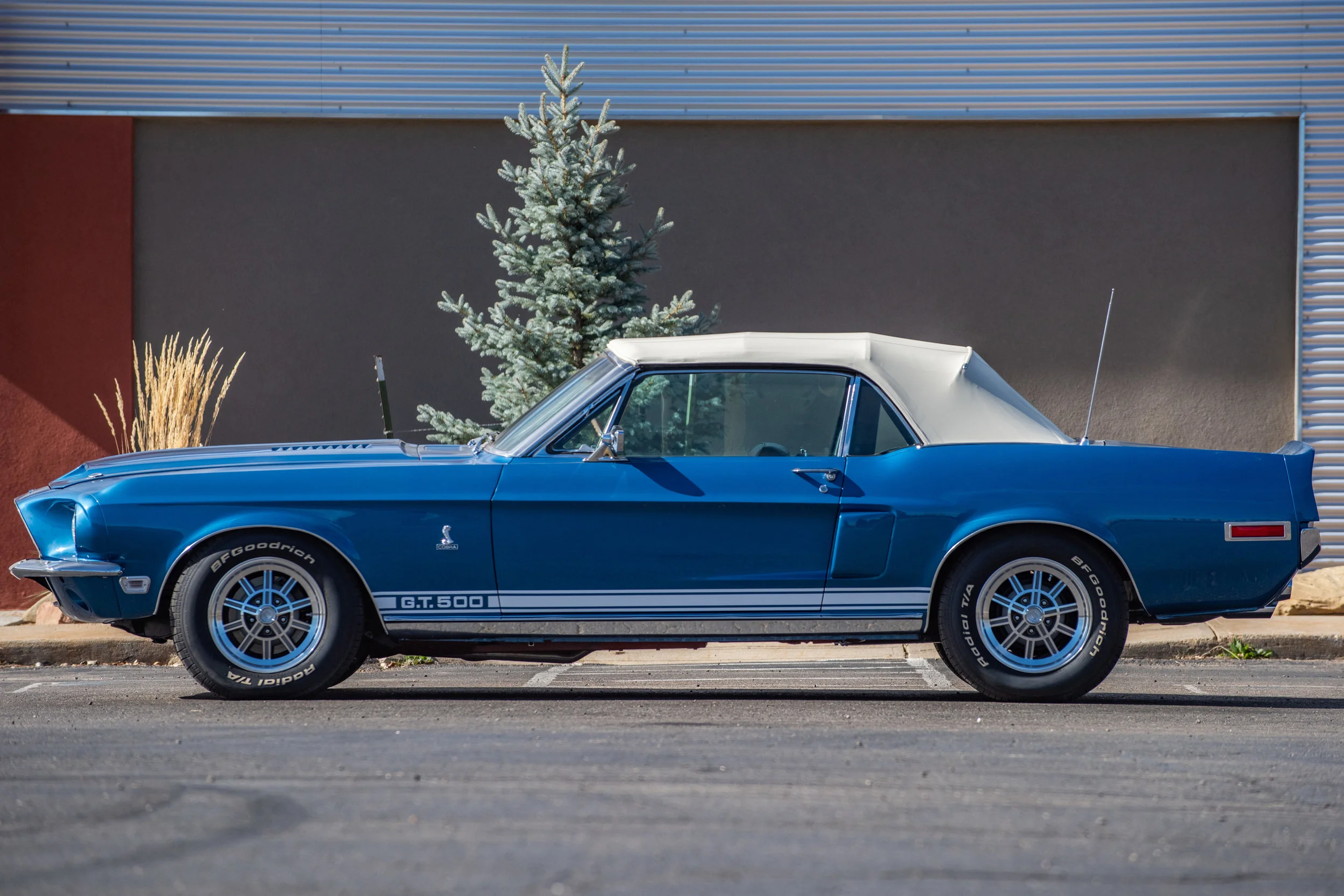 BlueShelbyGT500Conv_01.jpg