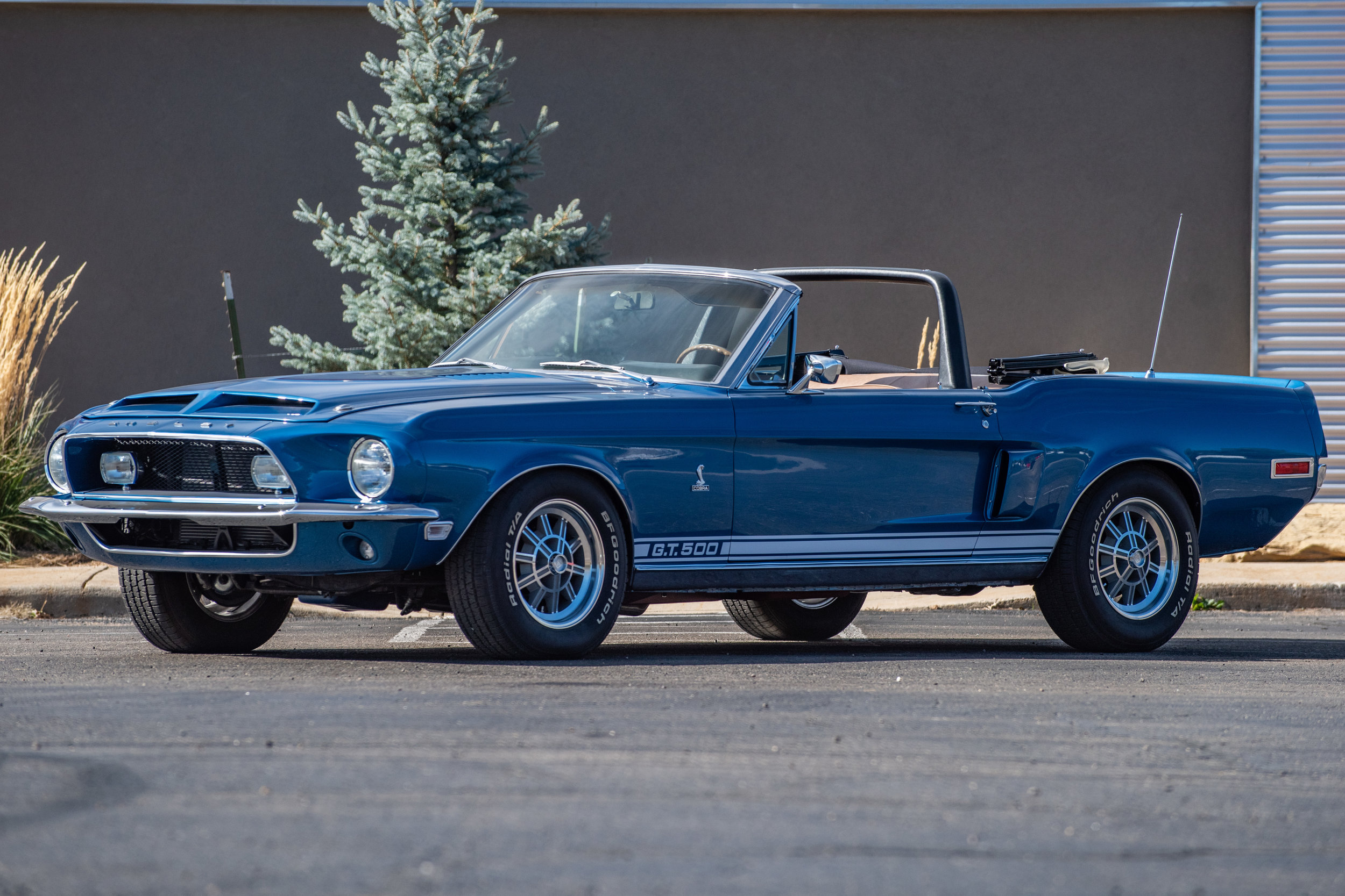 BlueShelbyGT500Conv_03.jpg
