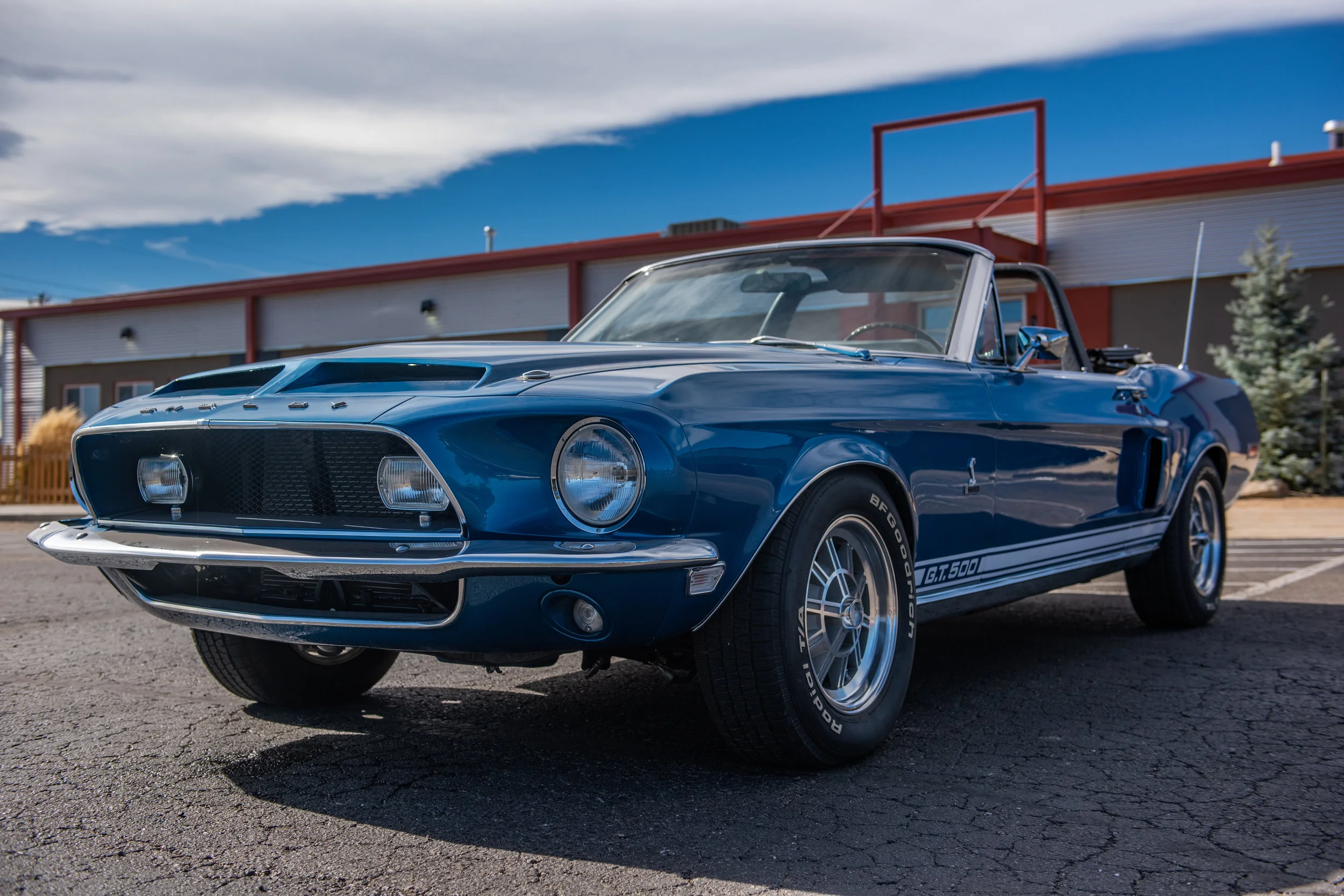 BlueShelbyGT500Conv_05.jpg