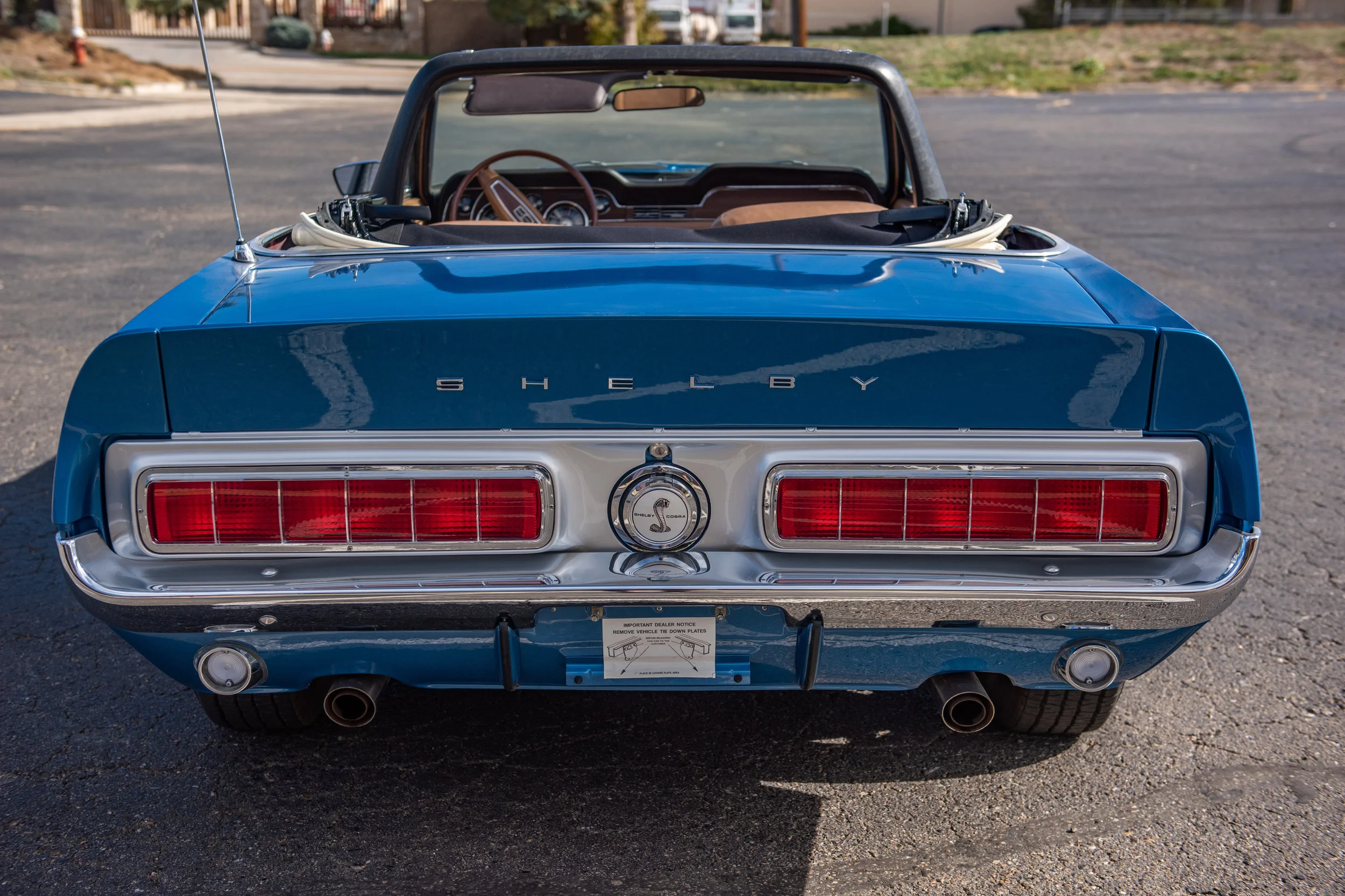 BlueShelbyGT500Conv_07.jpg