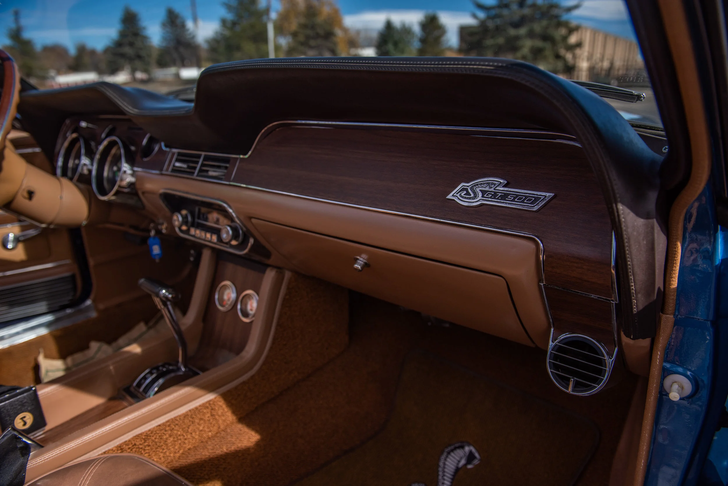 BlueShelbyGT500Conv_10.jpg