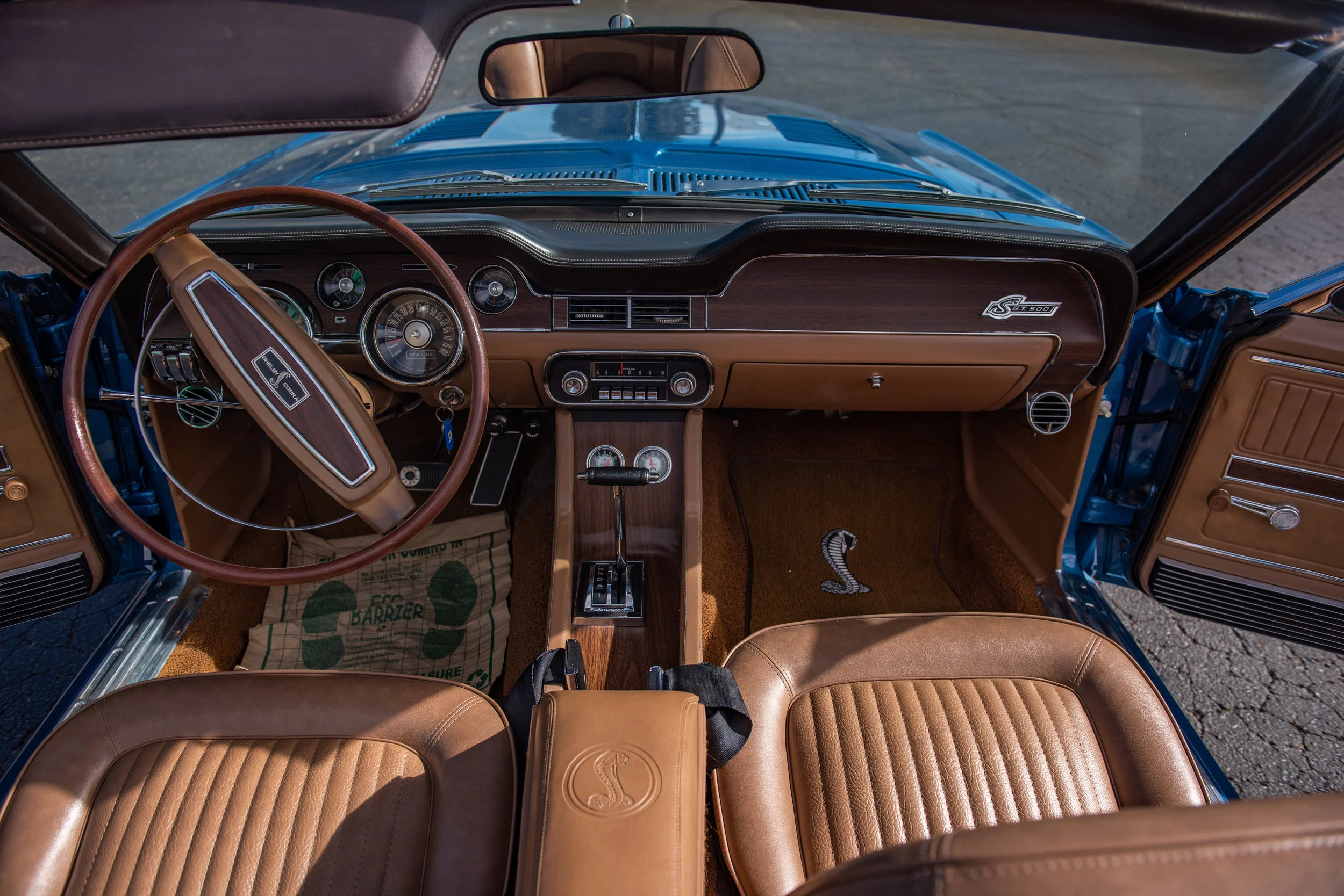 BlueShelbyGT500Conv_12.jpg