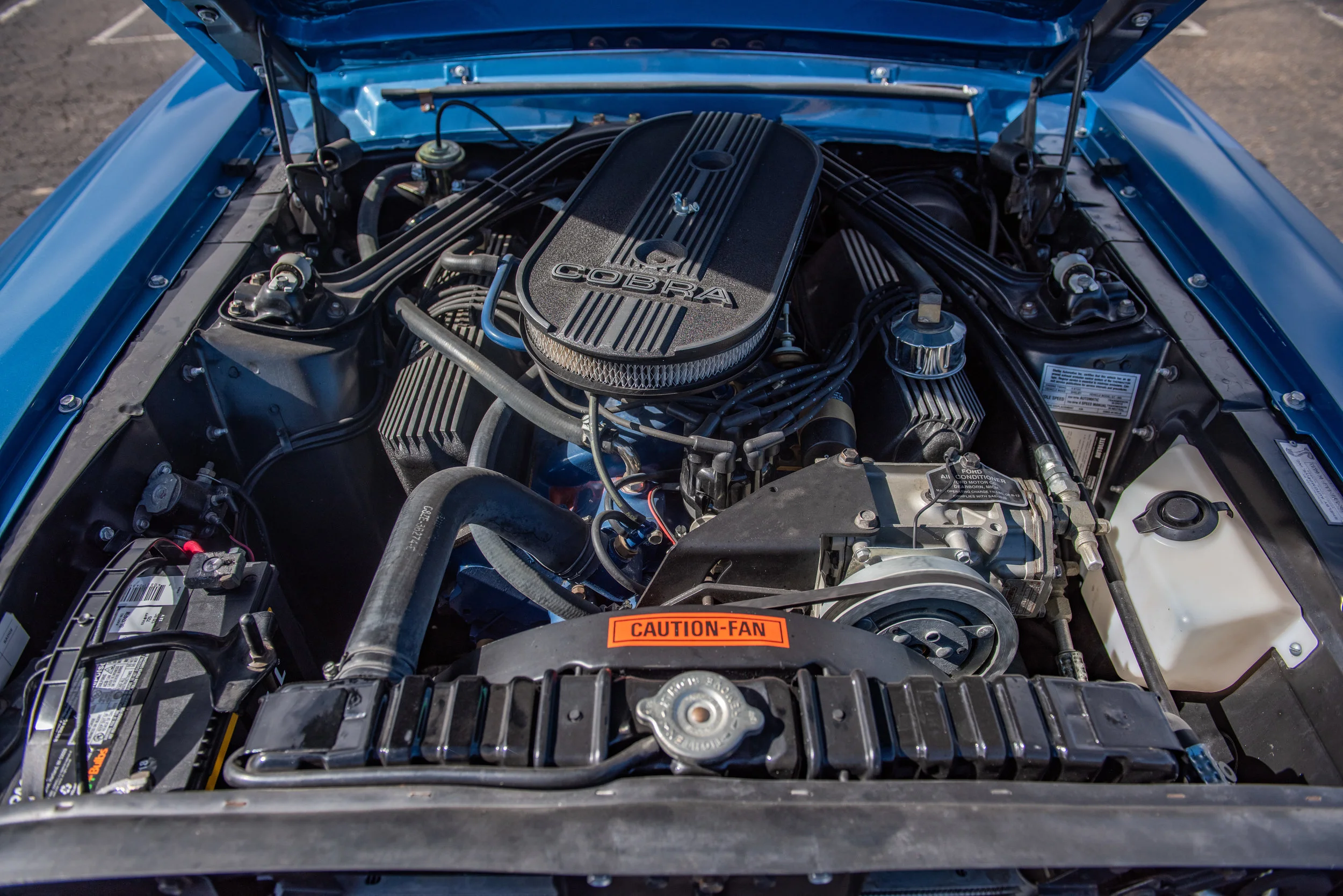 BlueShelbyGT500Conv_13.jpg
