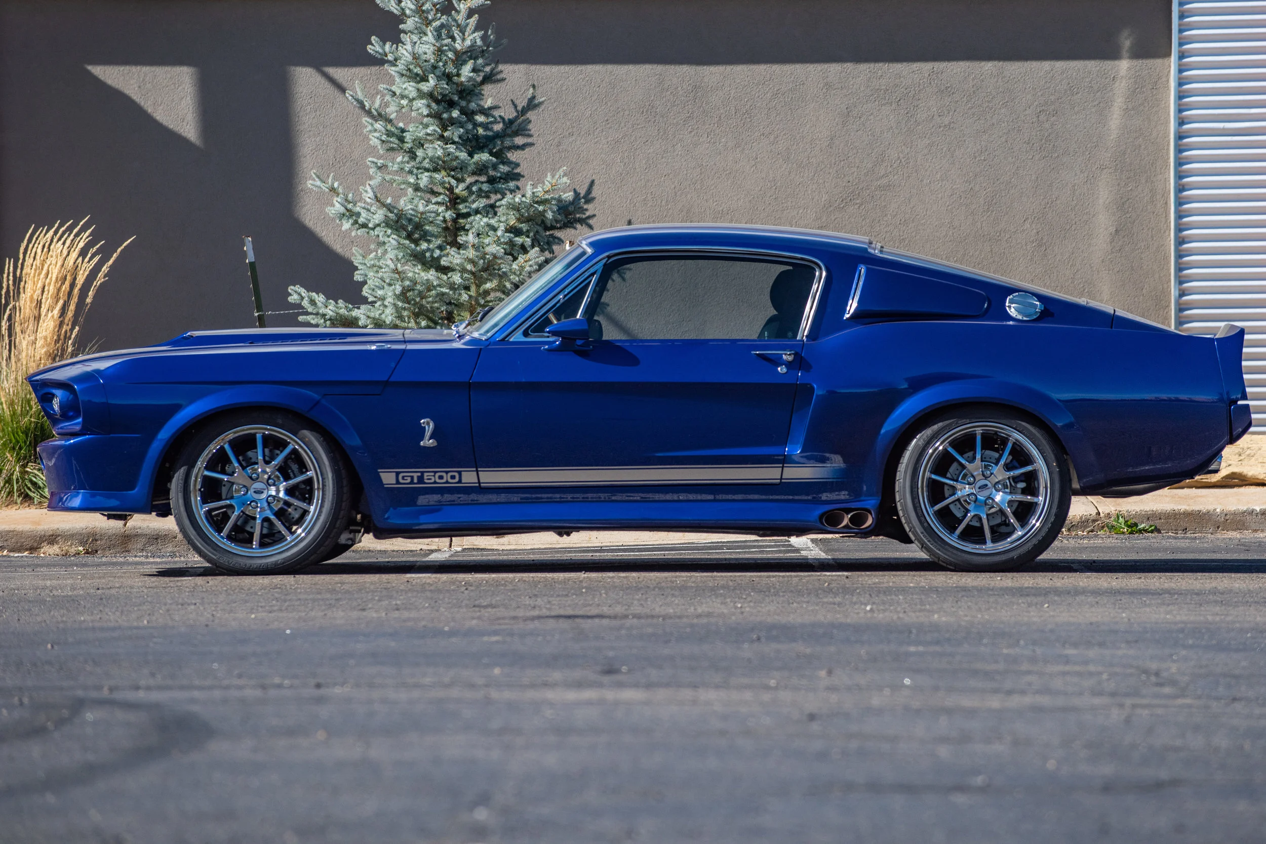 BlueShelbyGT500_01.jpg