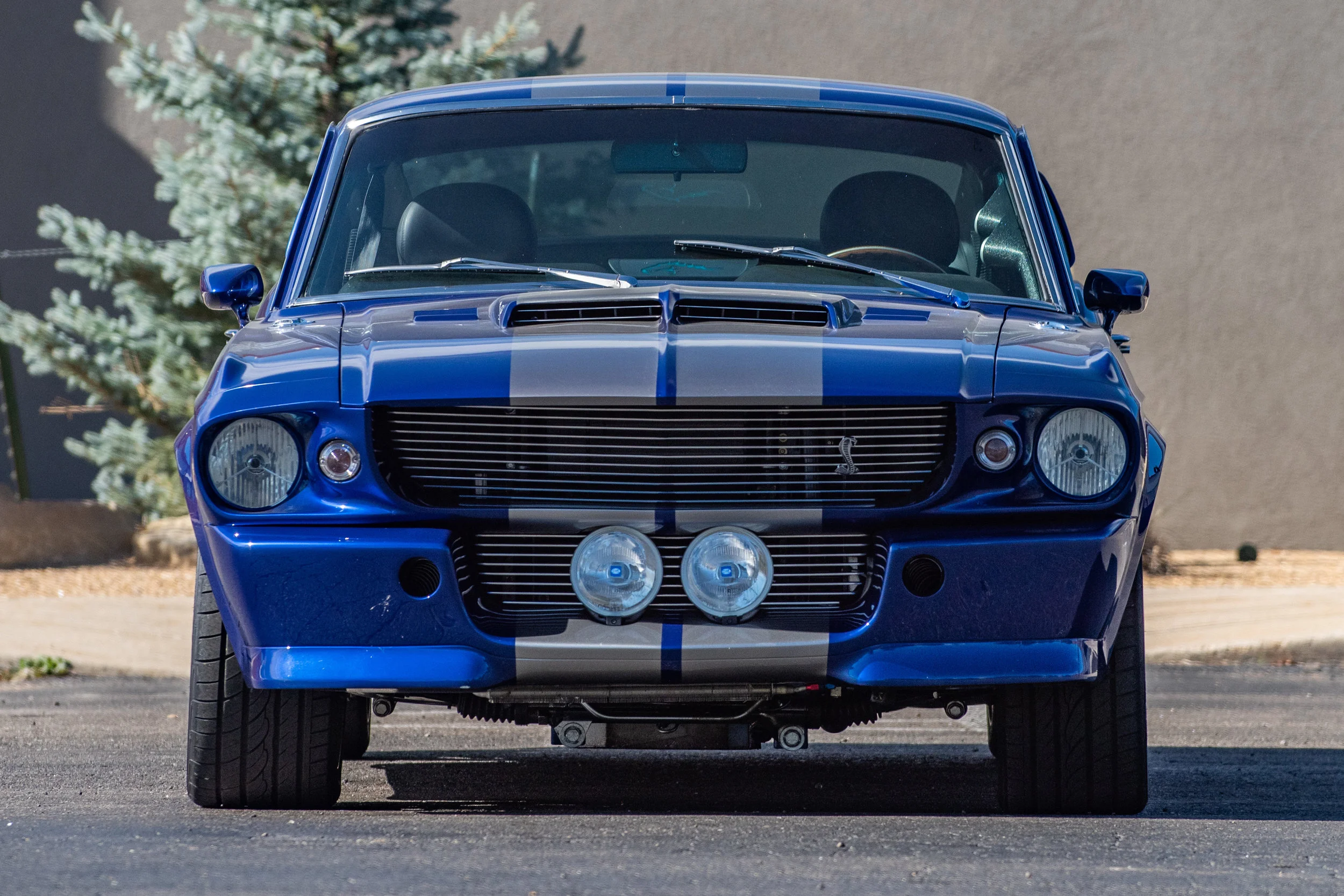 BlueShelbyGT500_03.jpg