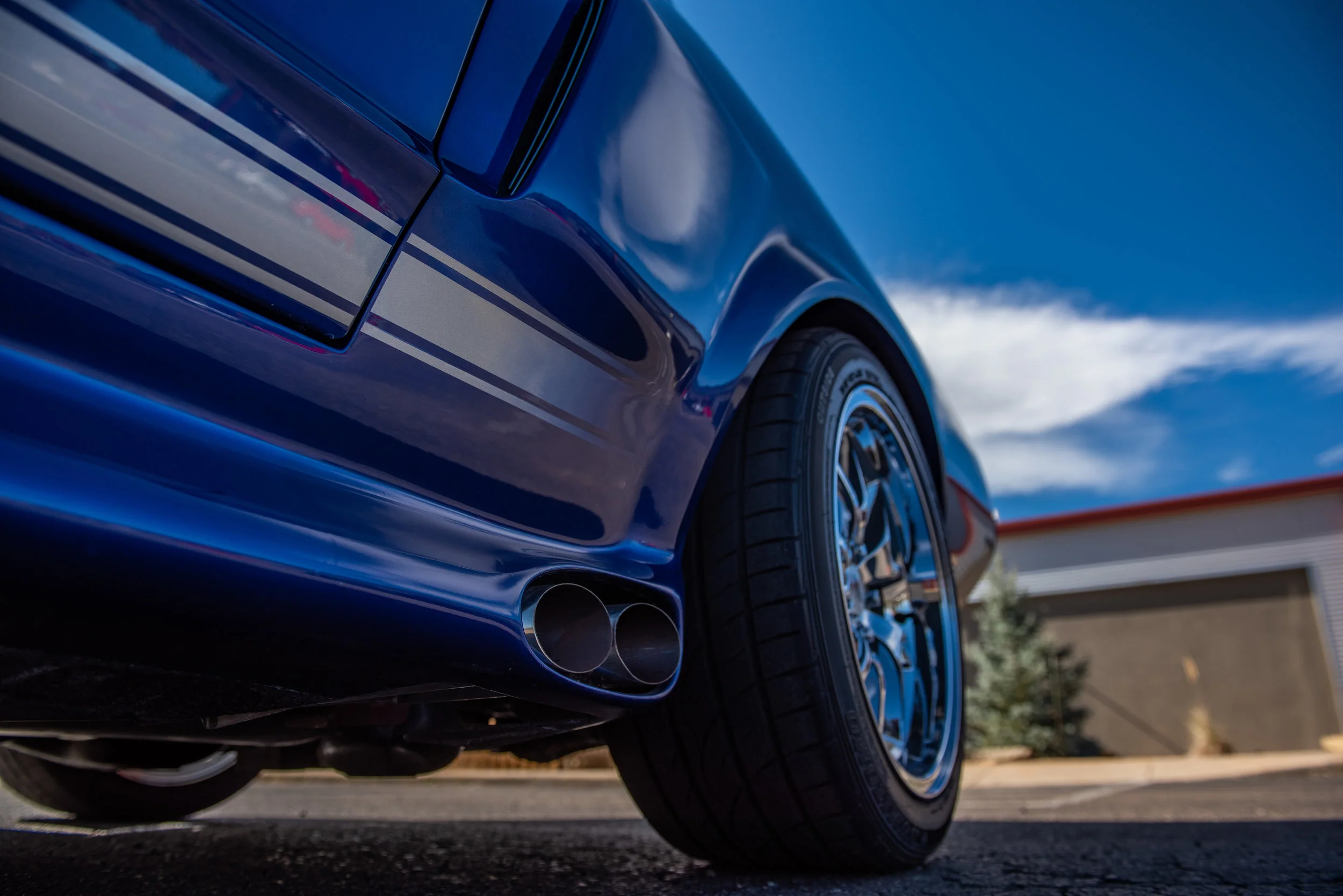 BlueShelbyGT500_06.jpg
