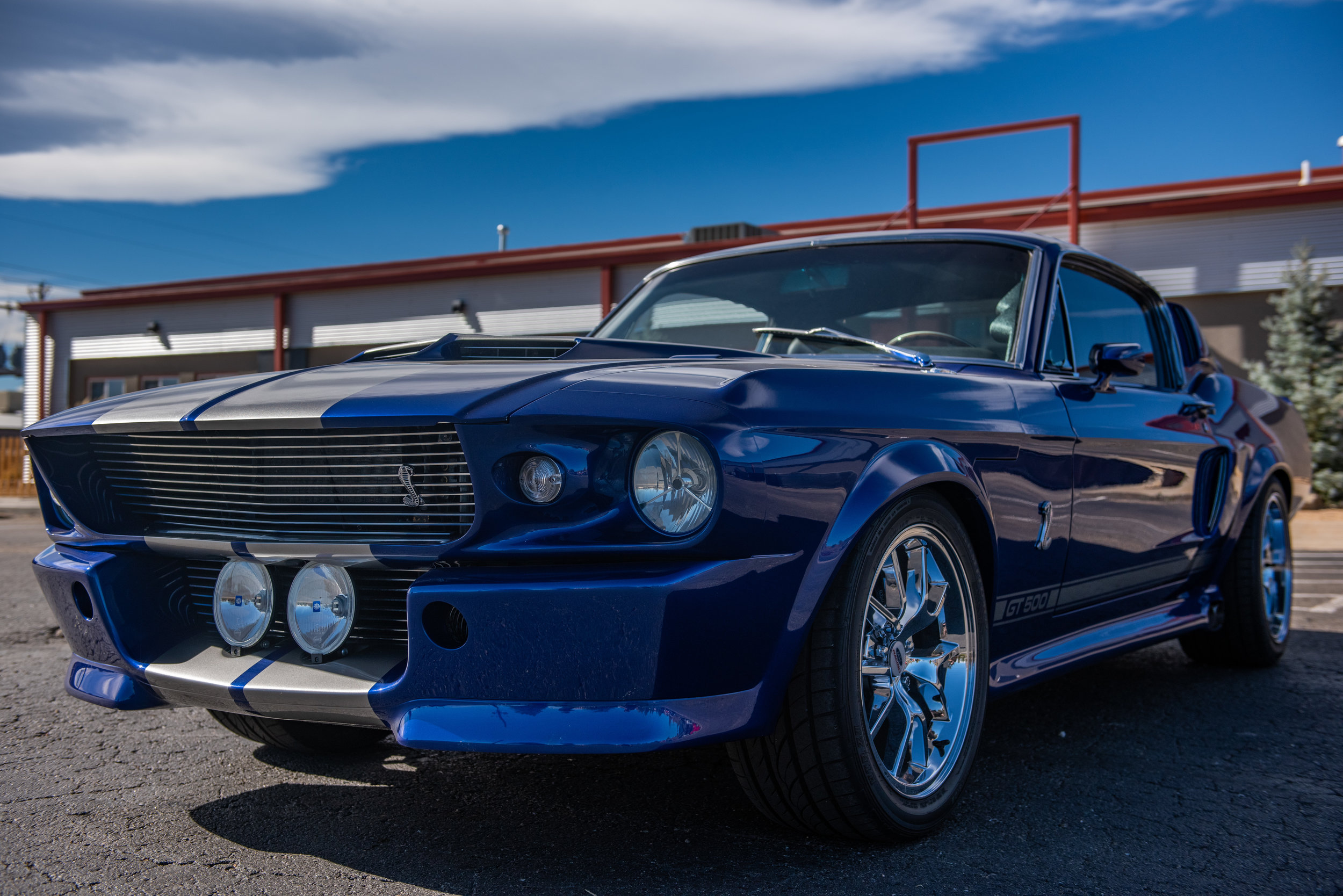 BlueShelbyGT500_04.jpg