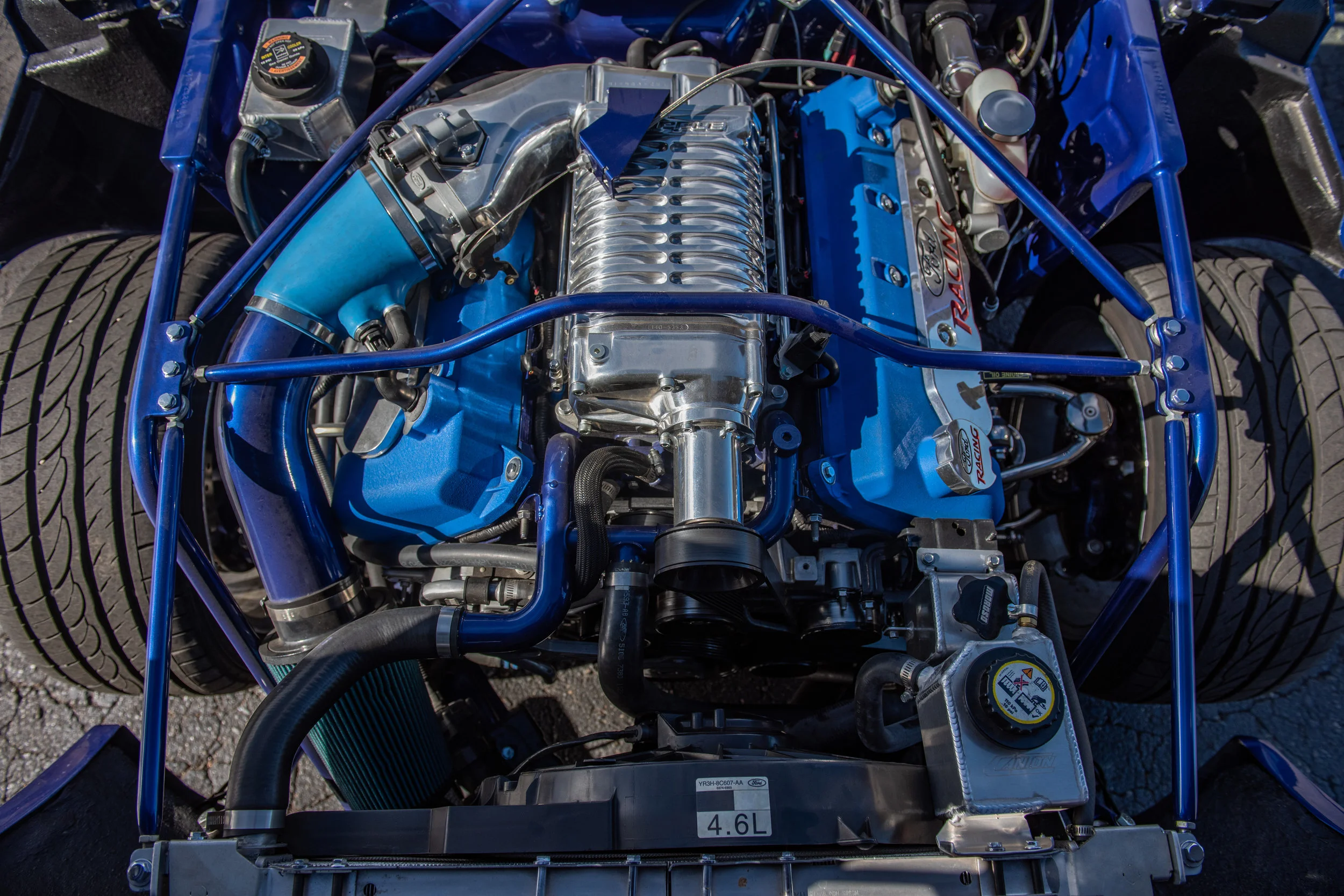 BlueShelbyGT500_12.jpg