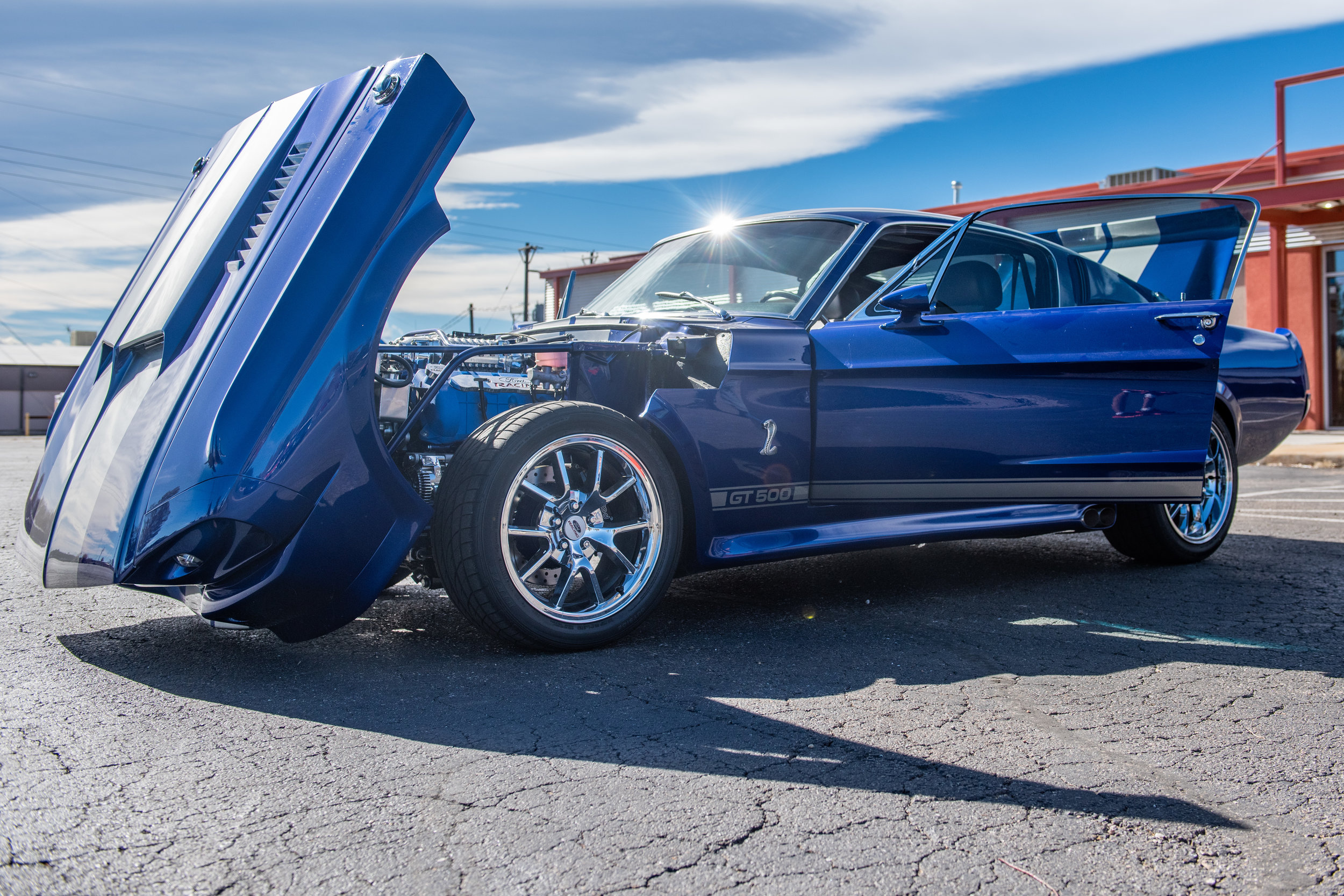 BlueShelbyGT500_13.jpg