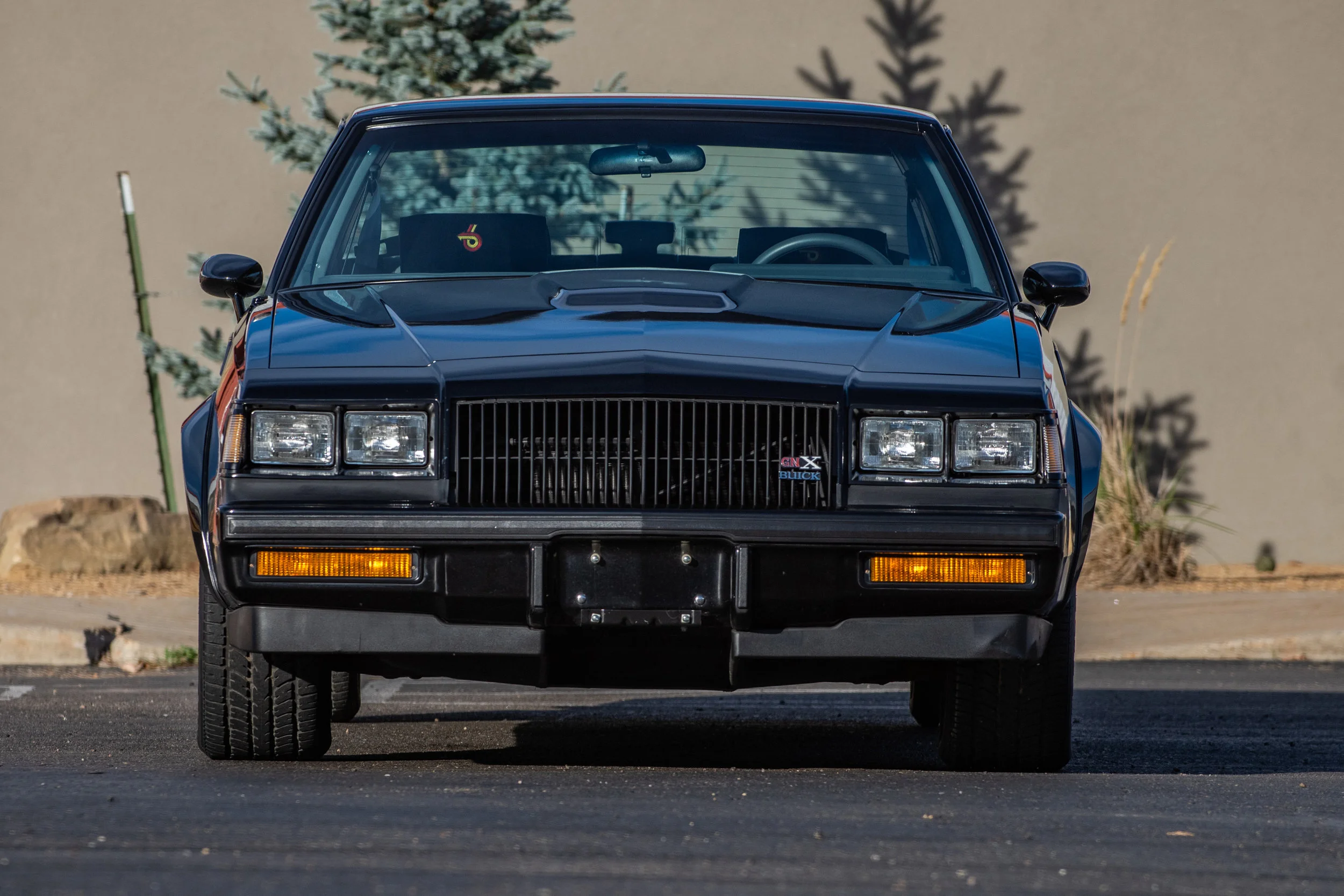 BuickGNX_03.jpg