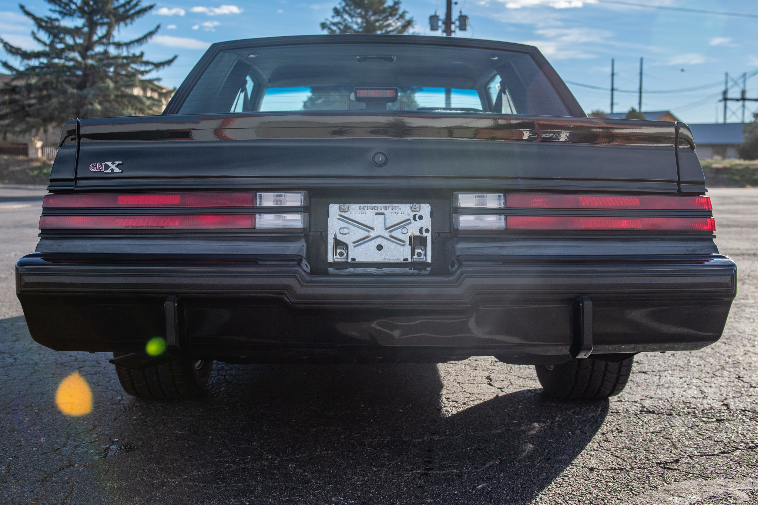 BuickGNX_04.jpg