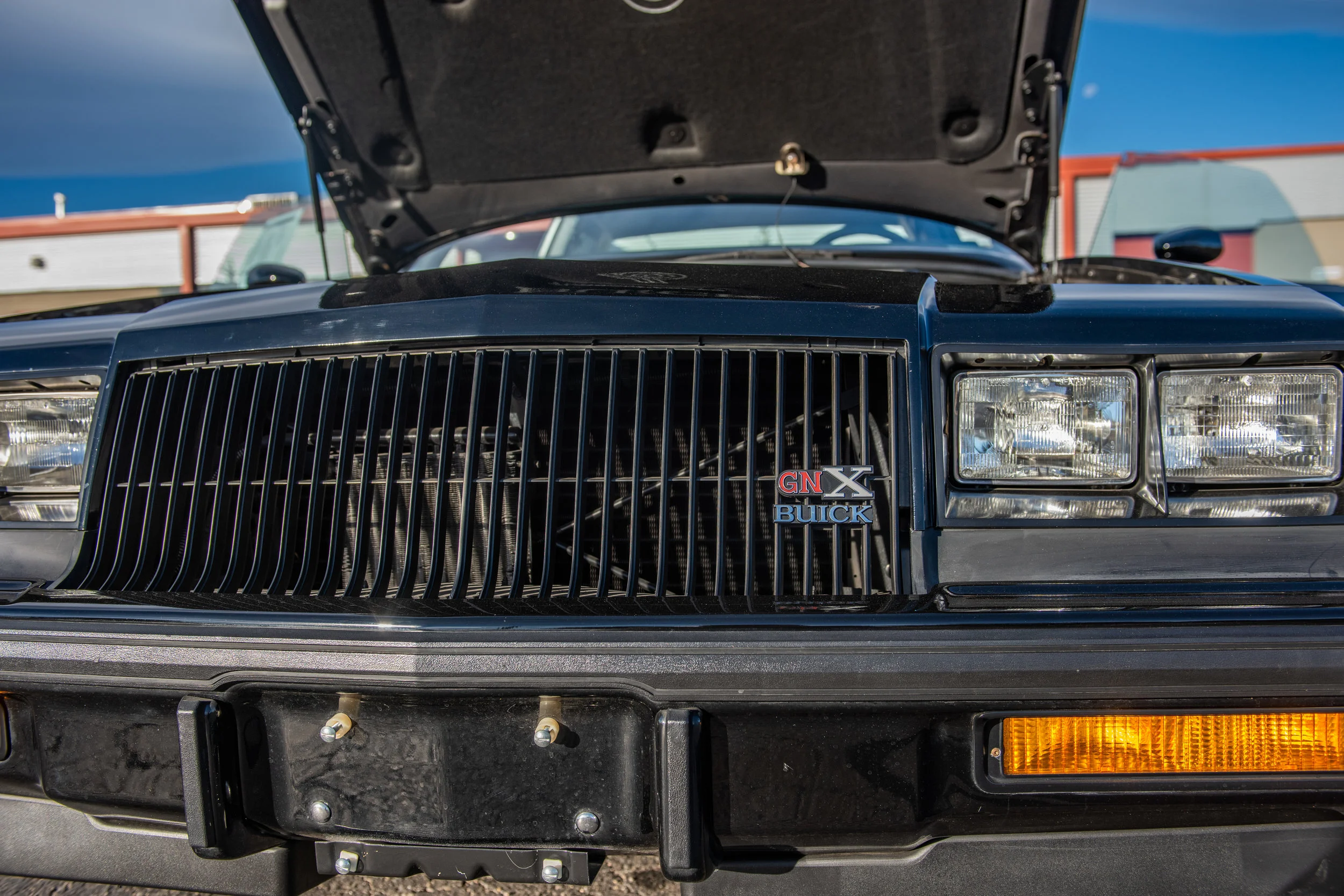 BuickGNX_10.jpg