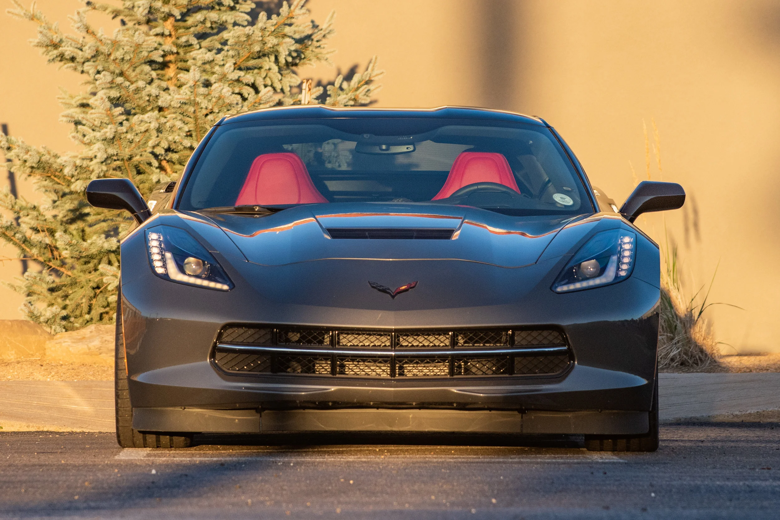 15Stingray_03.jpg