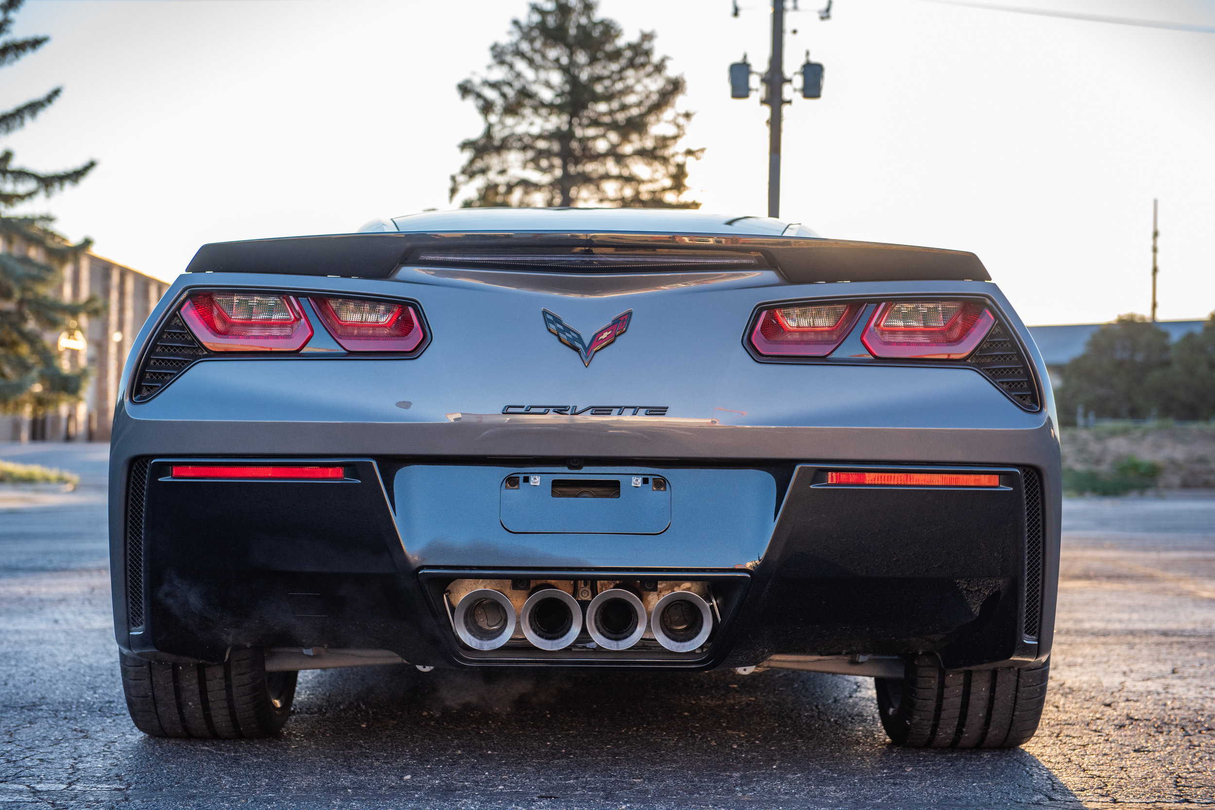 15Stingray_04.jpg