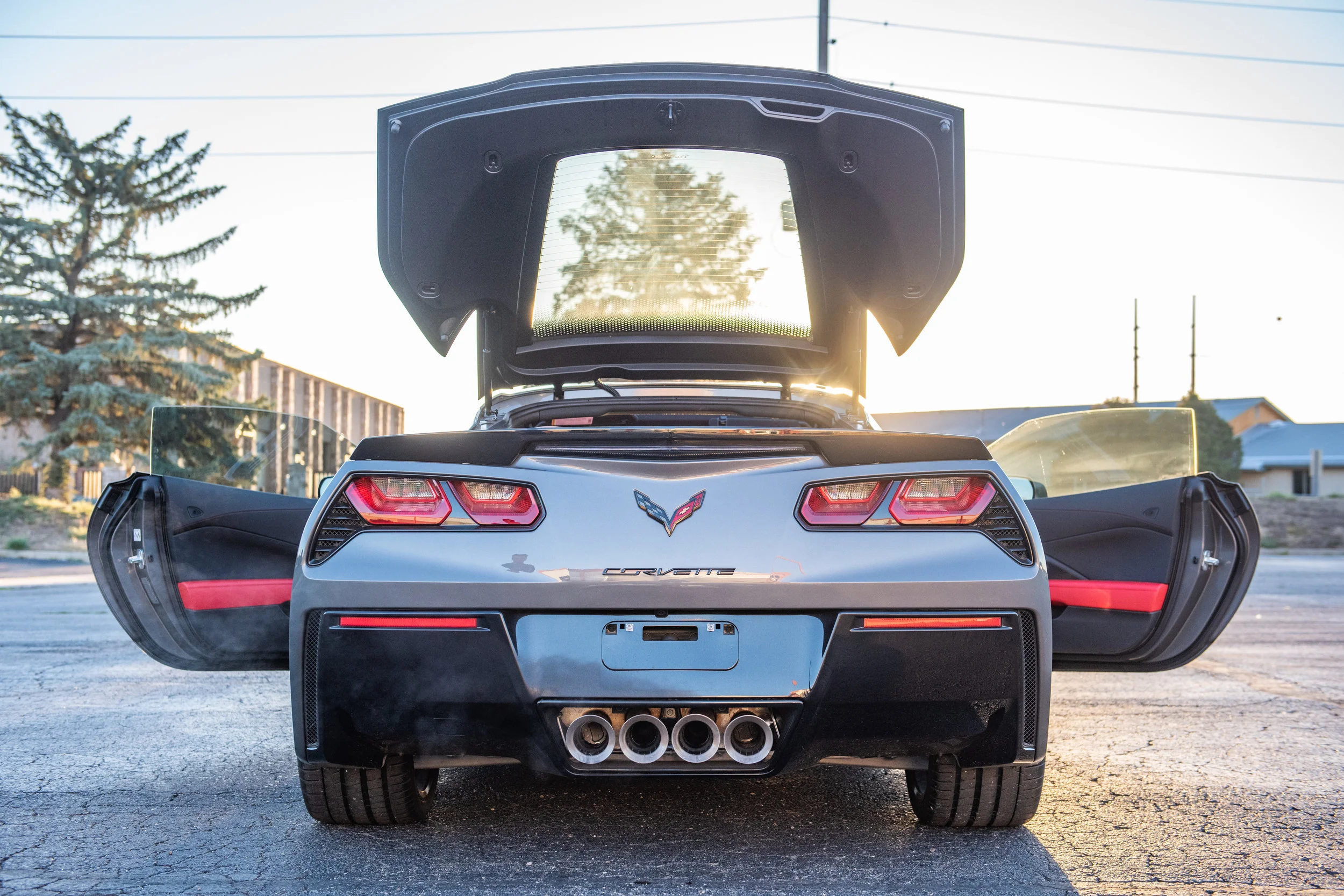 15Stingray_05.jpg