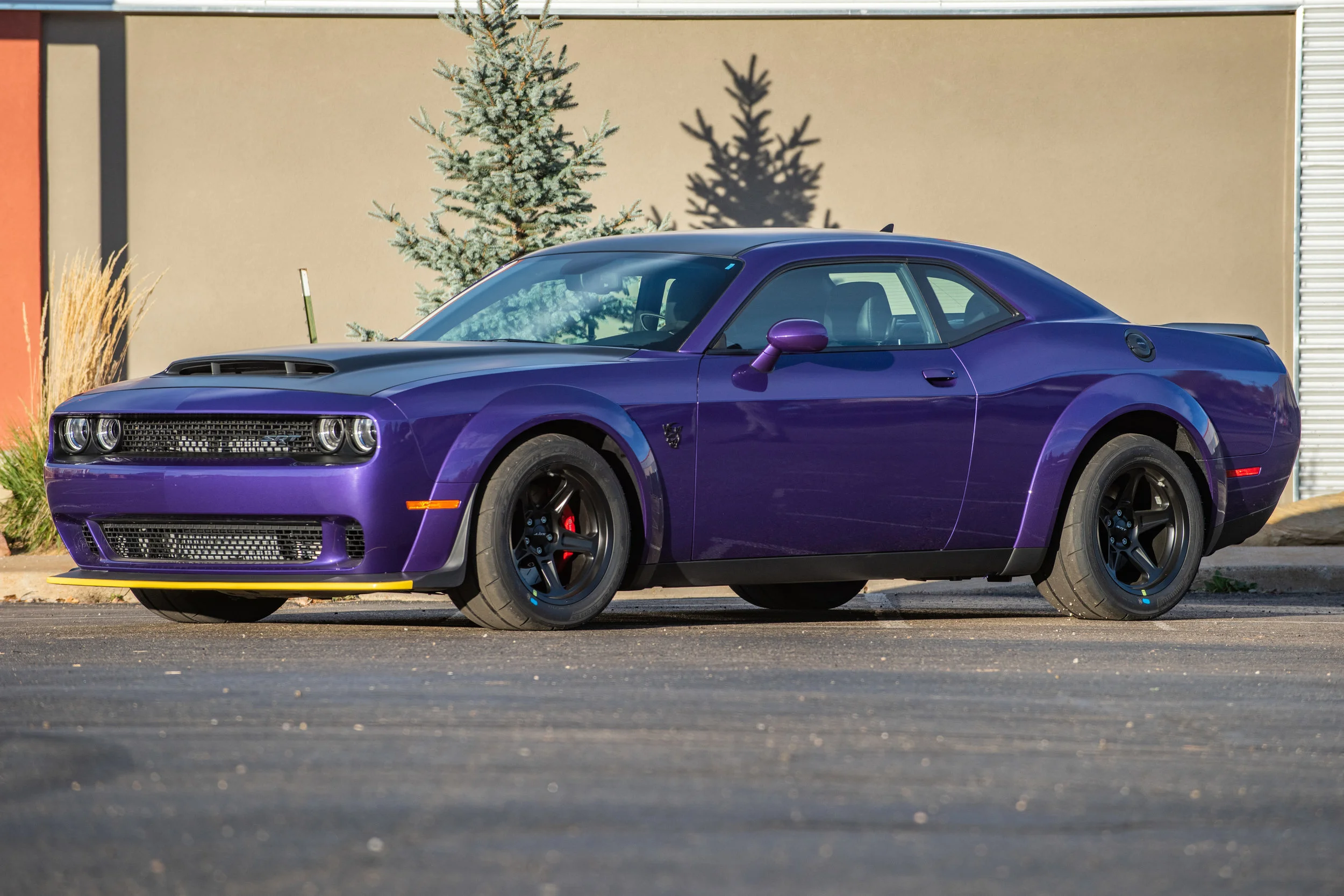 DemonPurple_02.jpg