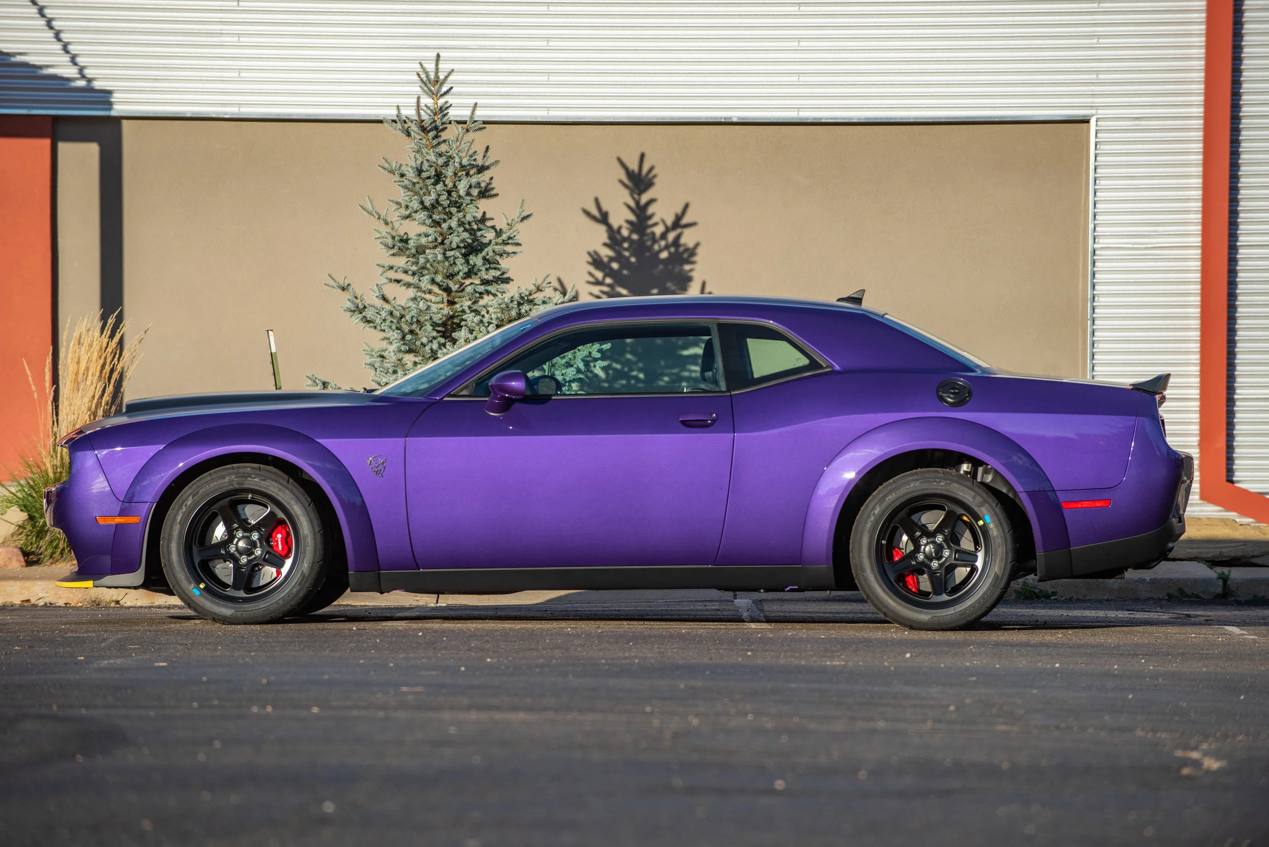 DemonPurple_01.jpg
