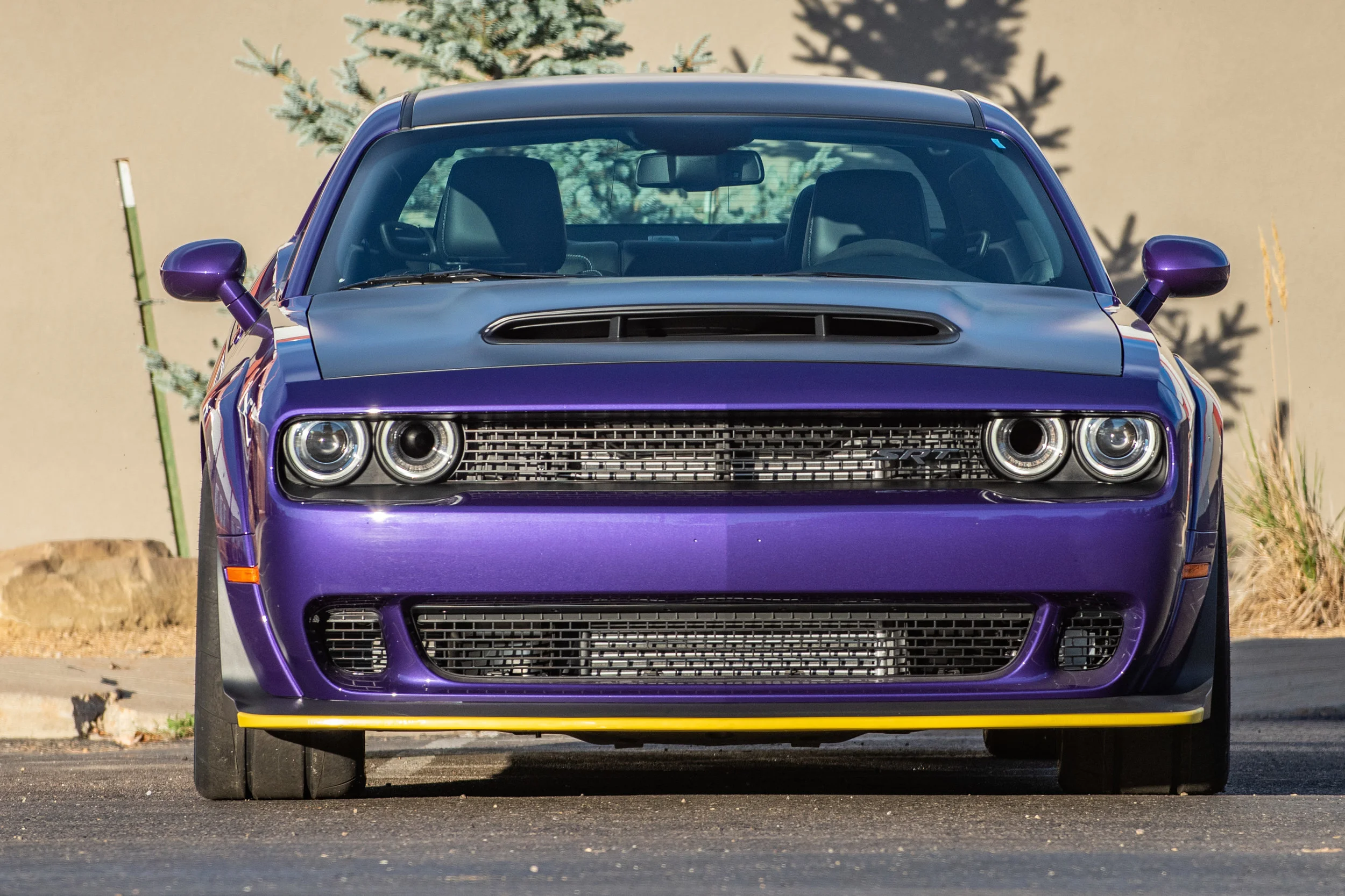 DemonPurple_03.jpg