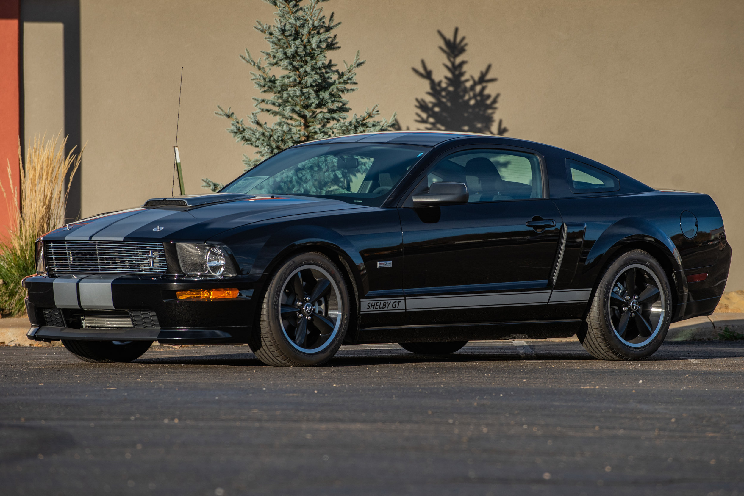 07CarrollShelbyGT_02.jpg