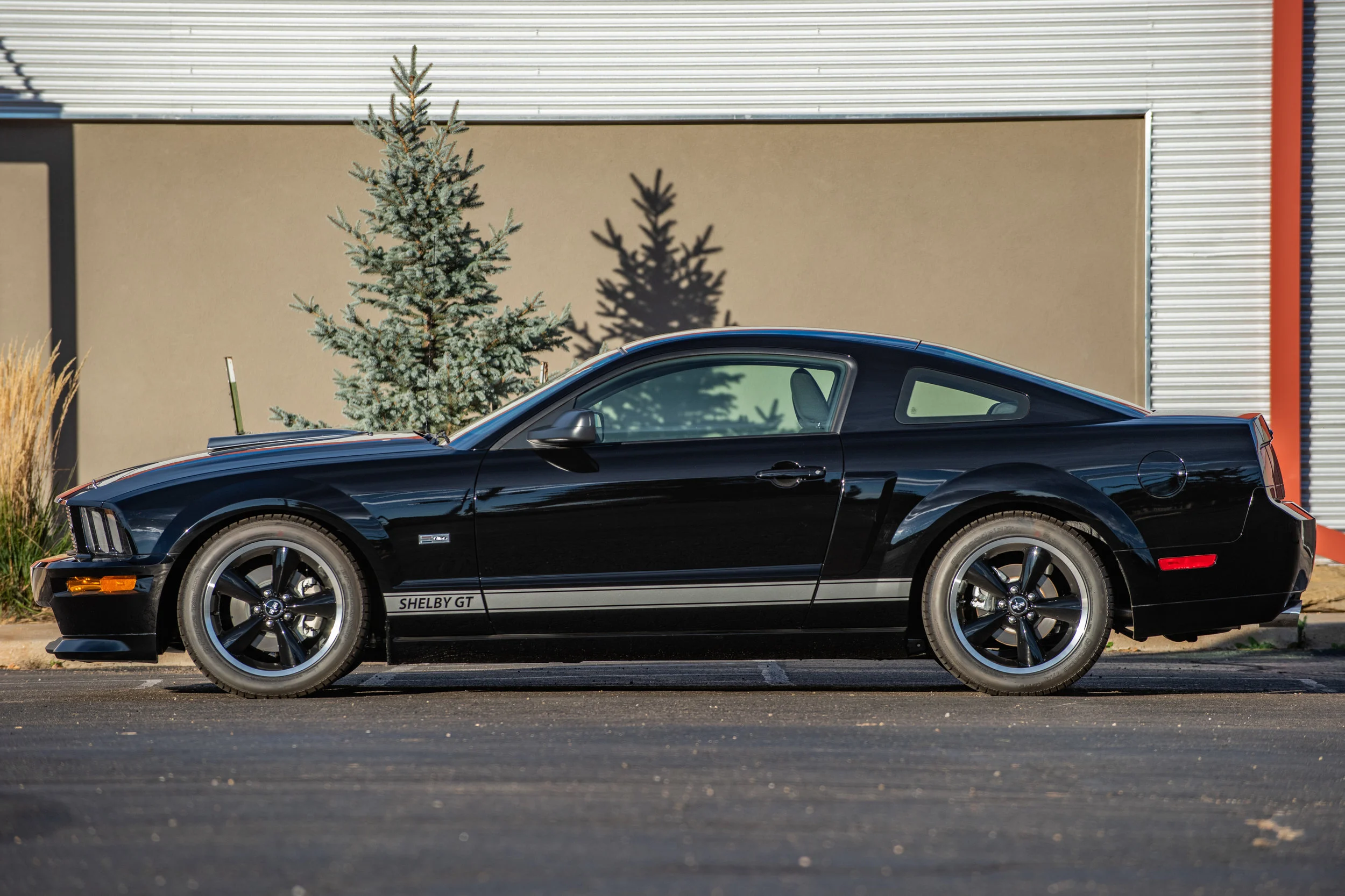 07CarrollShelbyGT_01.jpg