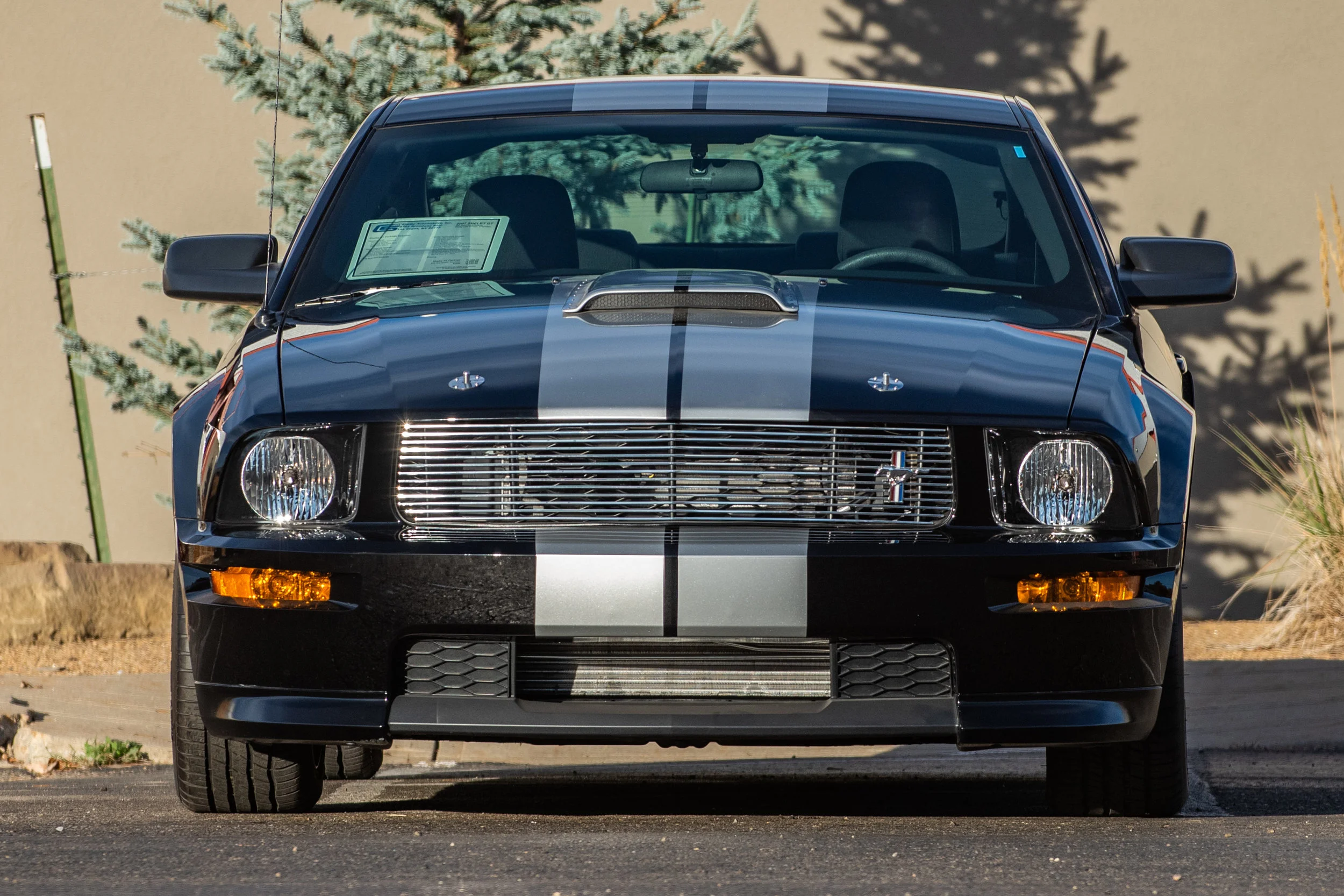 07CarrollShelbyGT_03.jpg