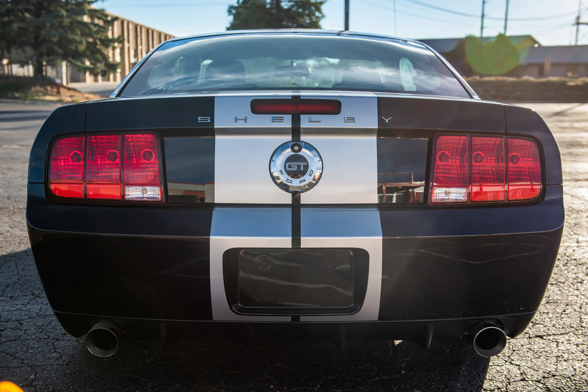 07CarrollShelbyGT_04.jpg