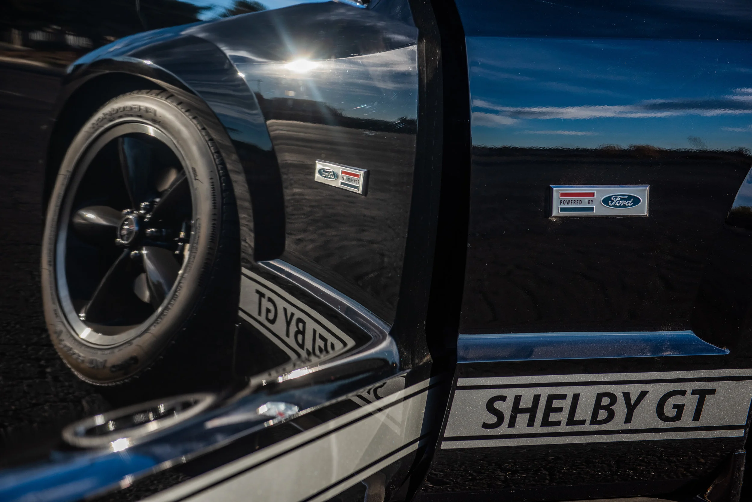 07CarrollShelbyGT_09.jpg