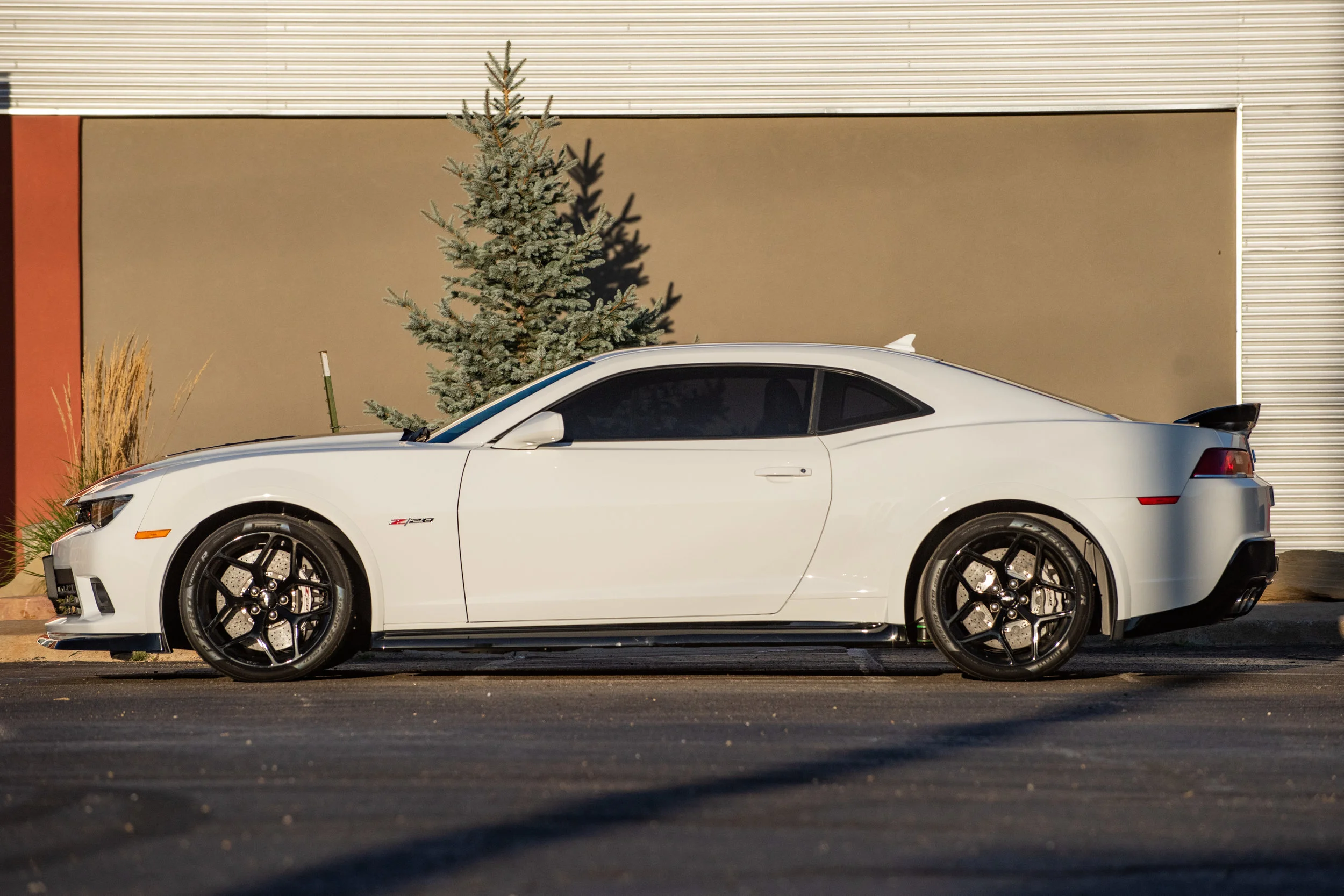 14WhiteZ28_01.jpg