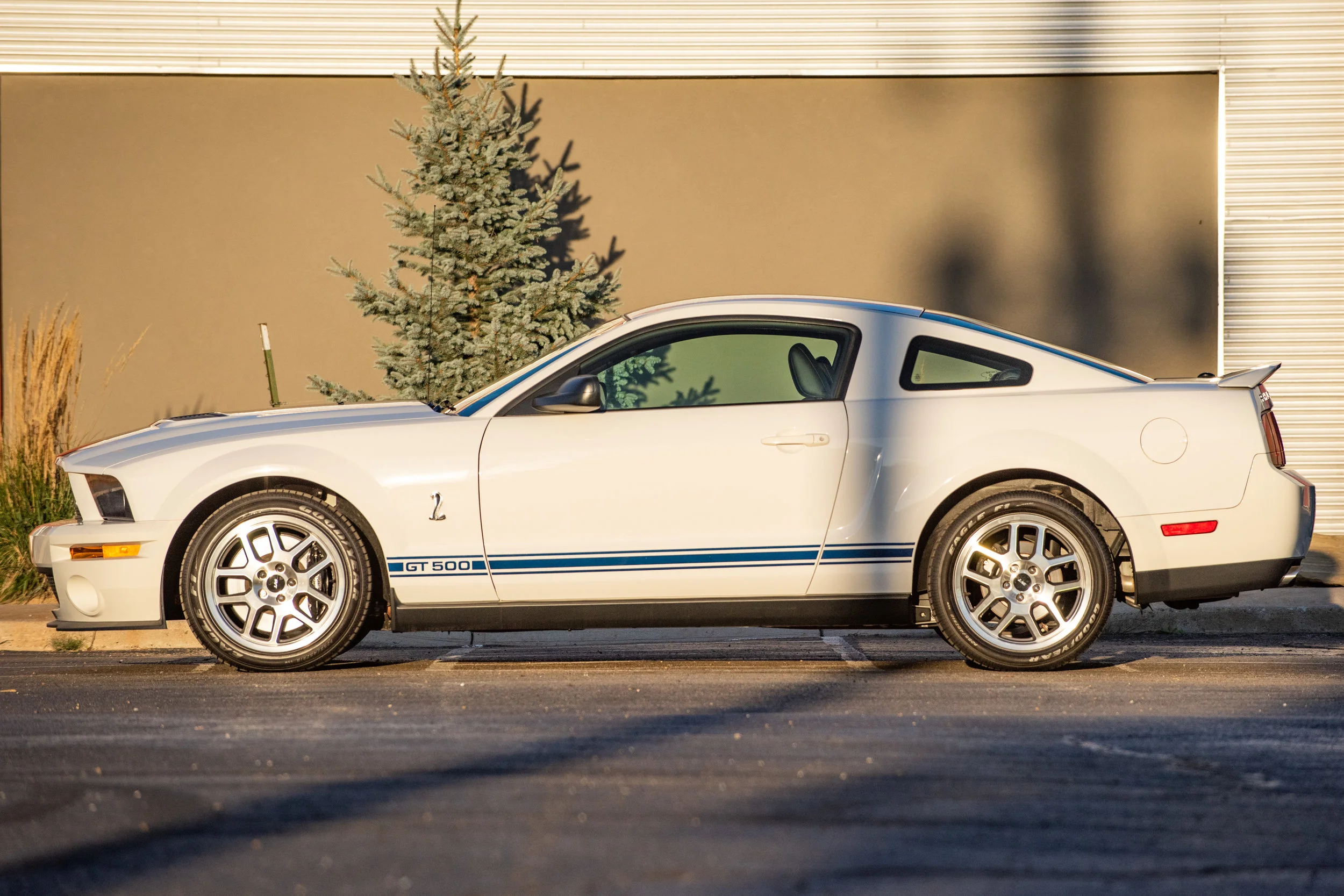 07ShelbyGT500_01.jpg