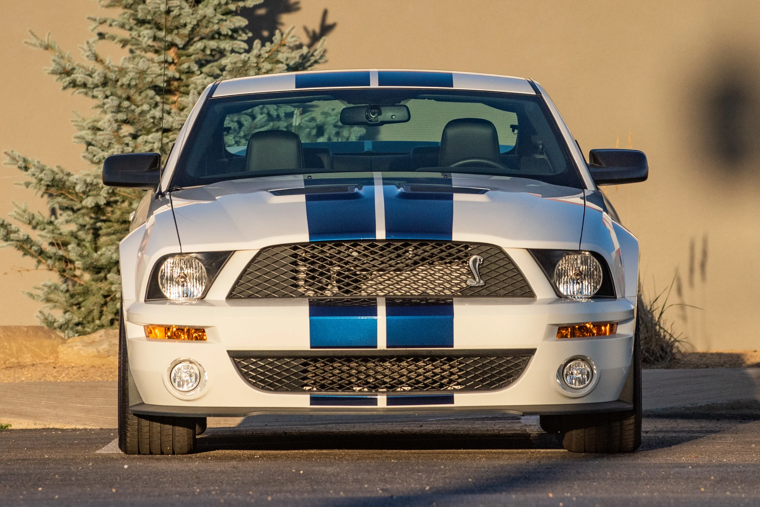 07ShelbyGT500_03.jpg