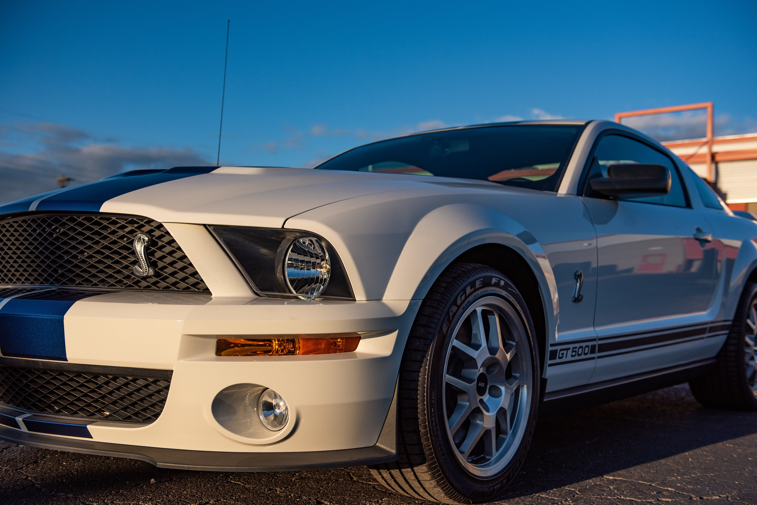 07ShelbyGT500_04.jpg