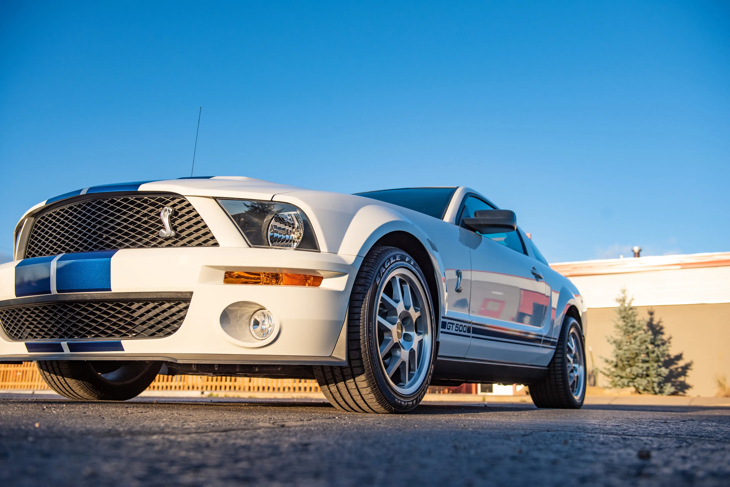 07ShelbyGT500_05.jpg