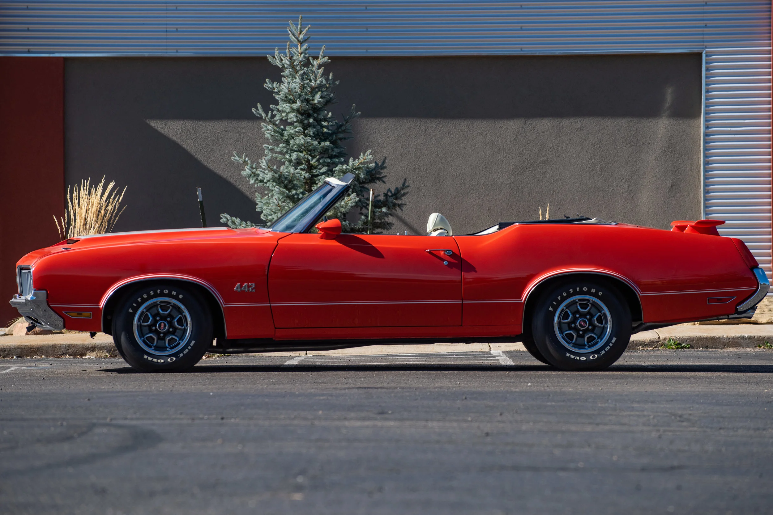 Cutlas442Conv_02.jpg