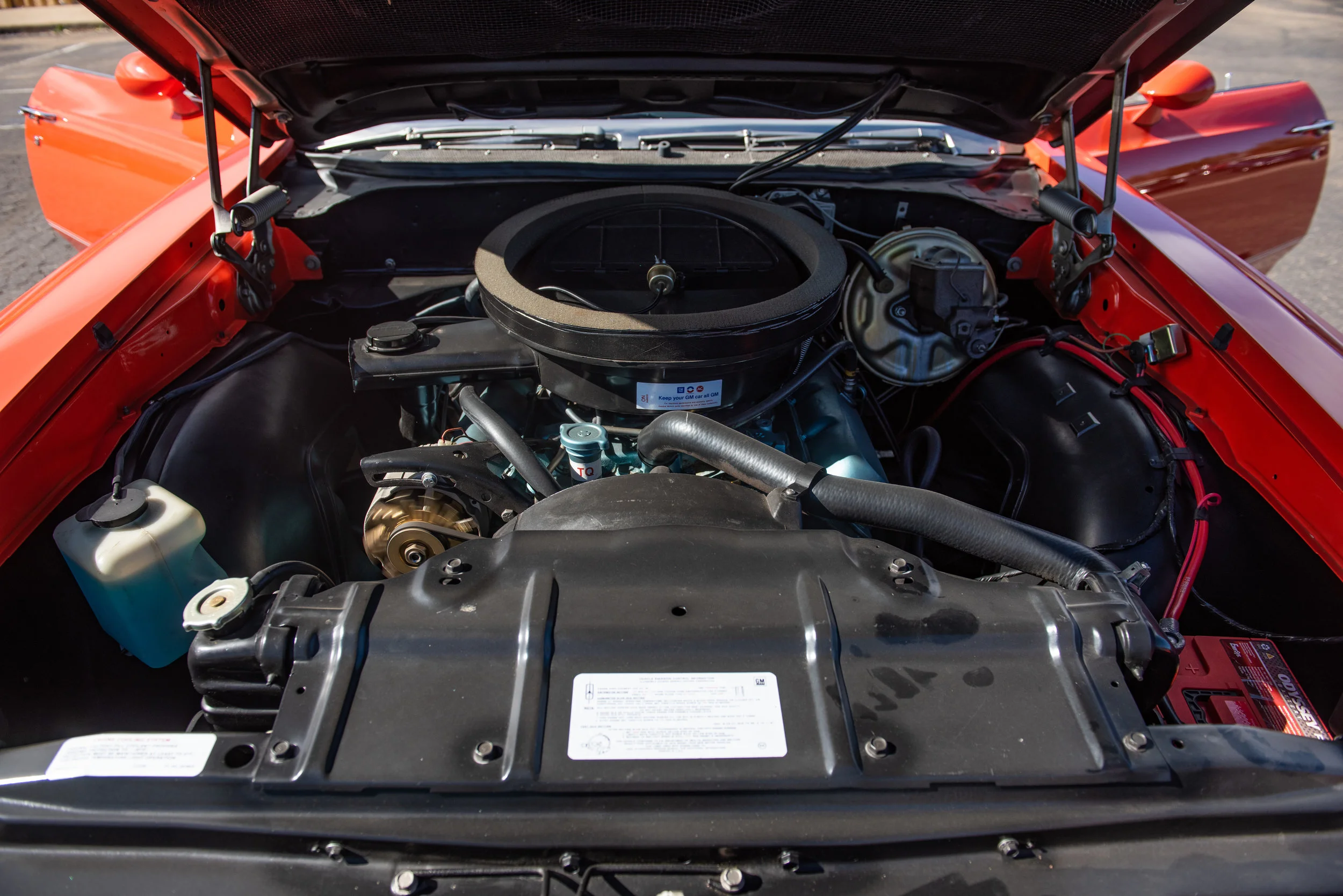Cutlas442Conv_12.jpg