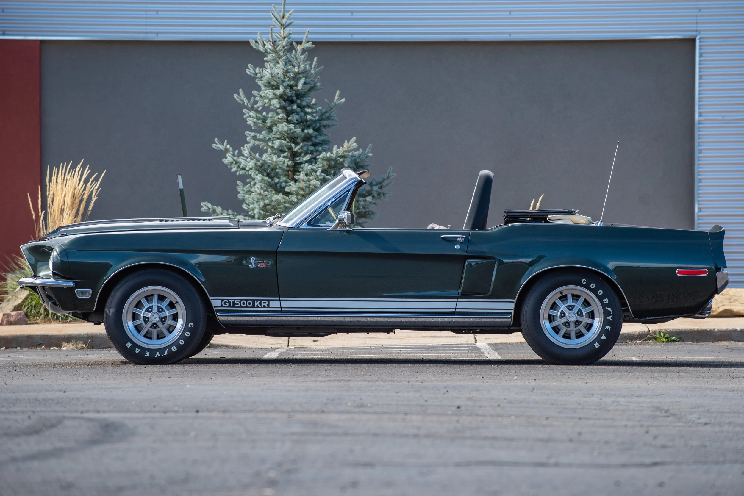 GreenShelbyGT500KR428CJConv_02.jpg