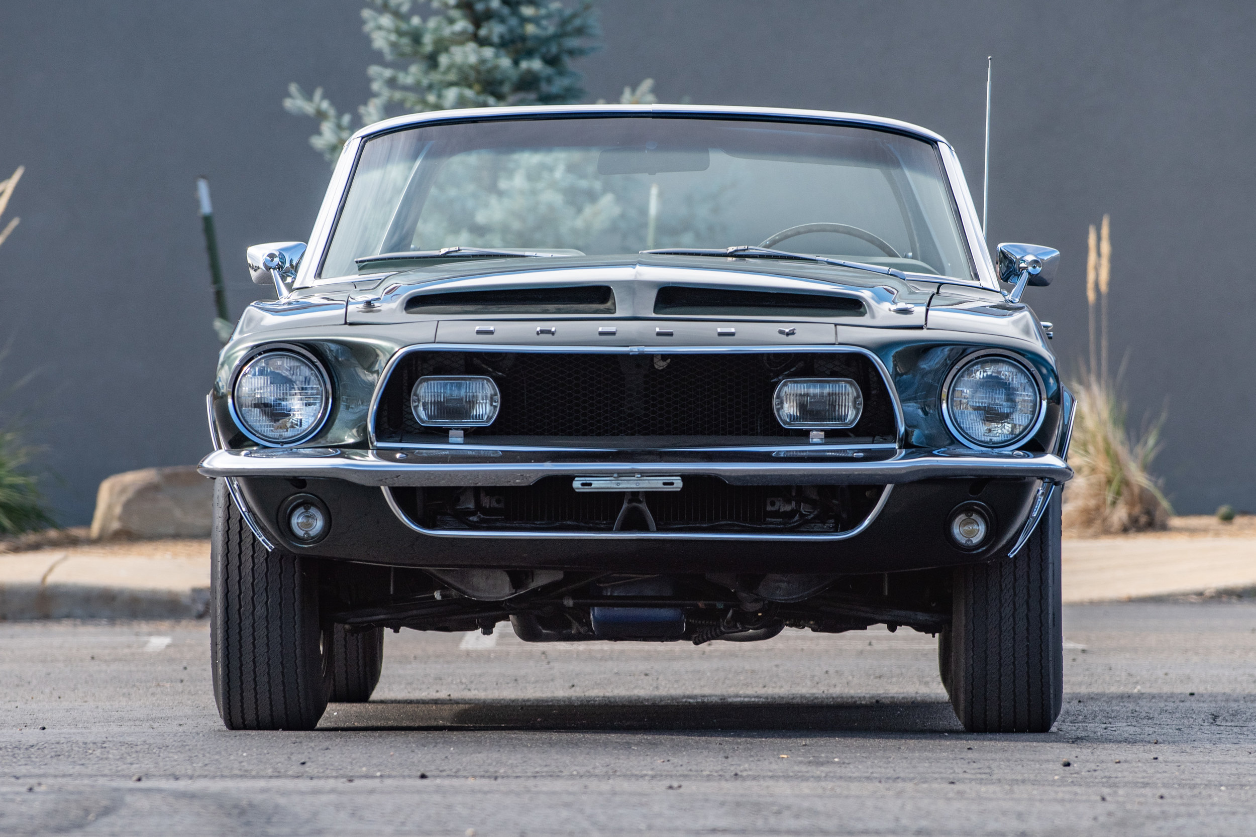 GreenShelbyGT500KR428CJConv_04.jpg