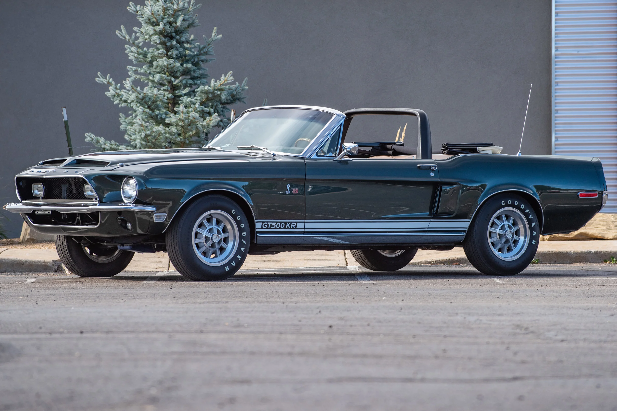 GreenShelbyGT500KR428CJConv_03.jpg