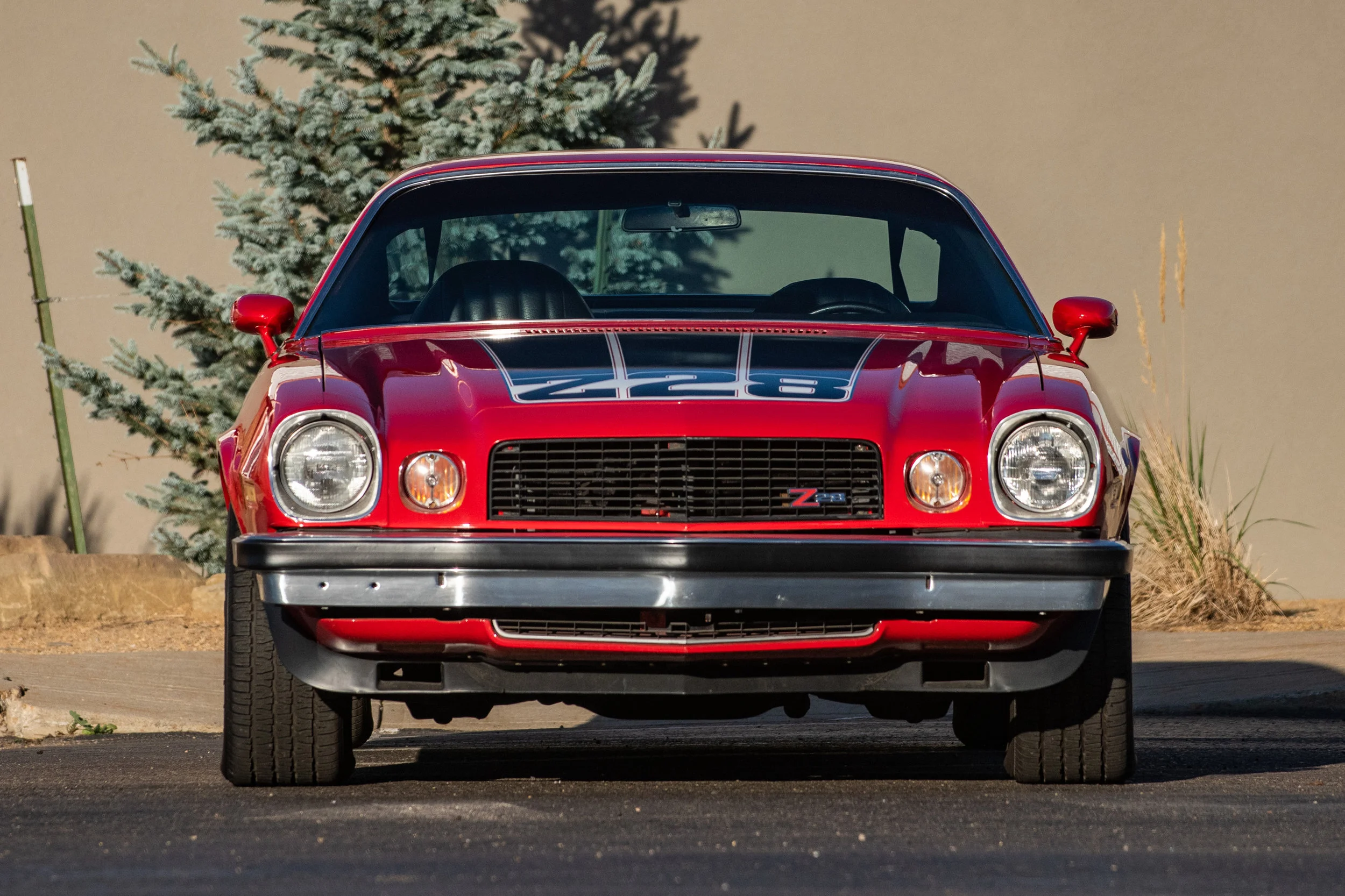Red-Z28_03.jpg