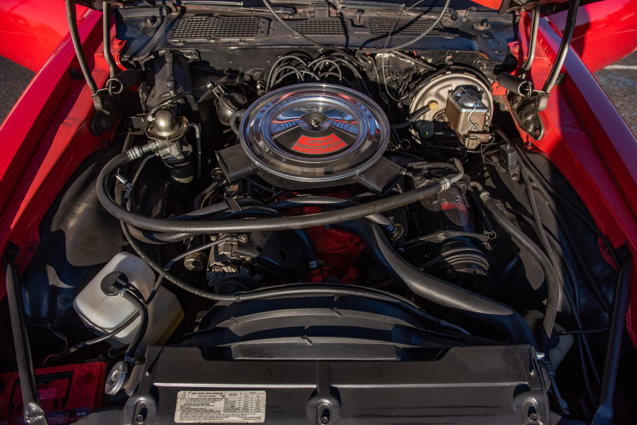 Red-Z28_08.jpg