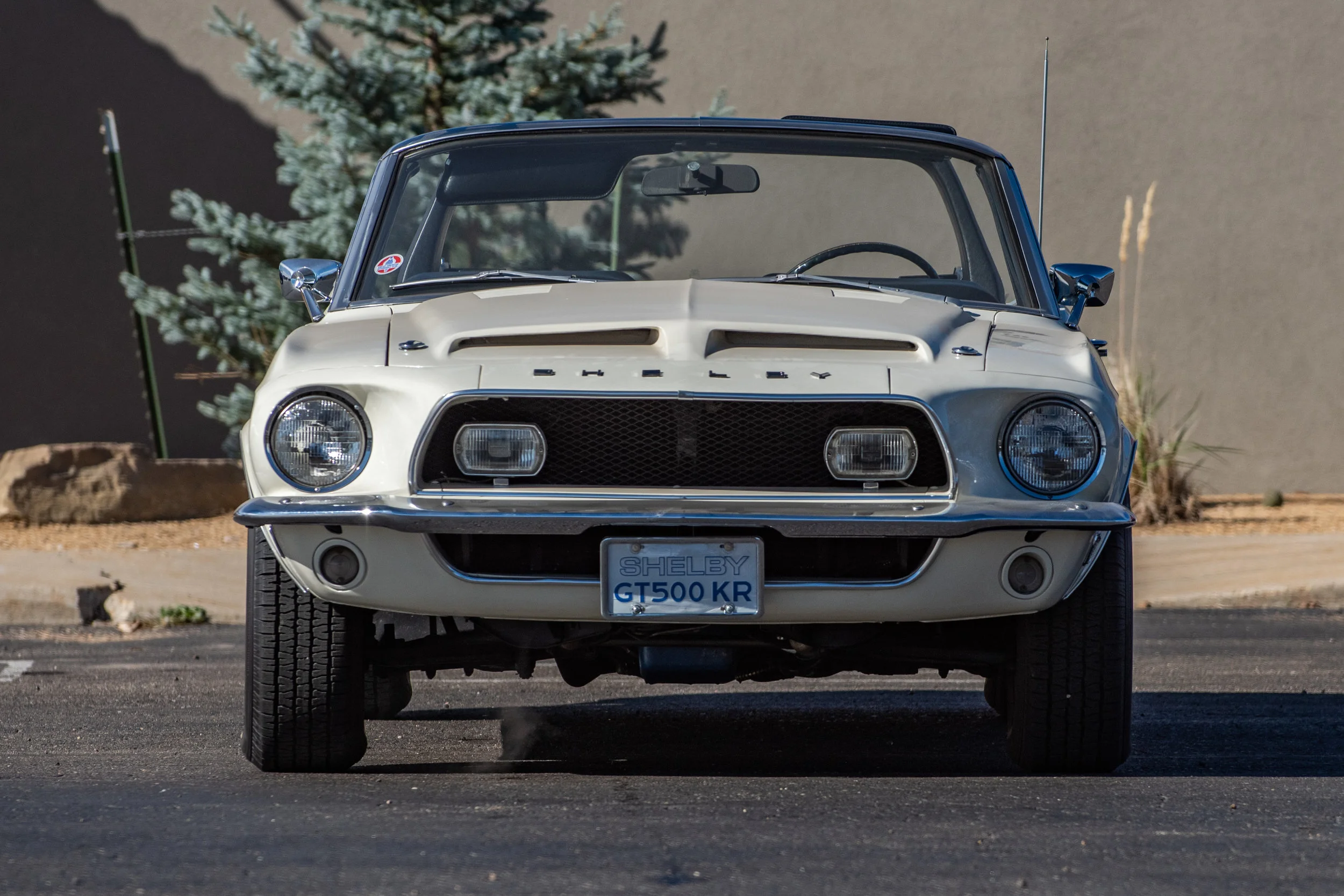 ShelbyGT500KRConv_04.jpg