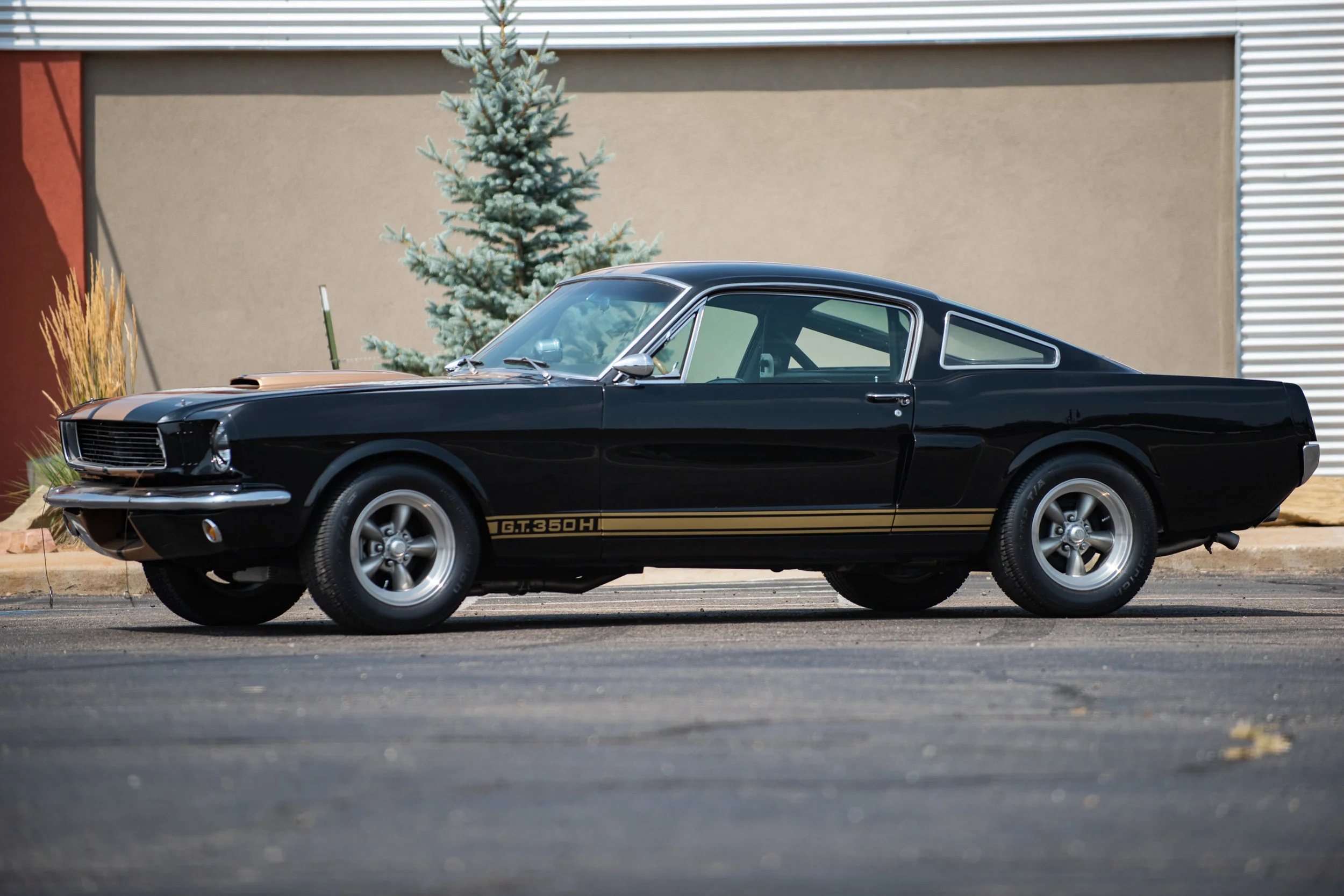 ShelbyGT350_02.jpg