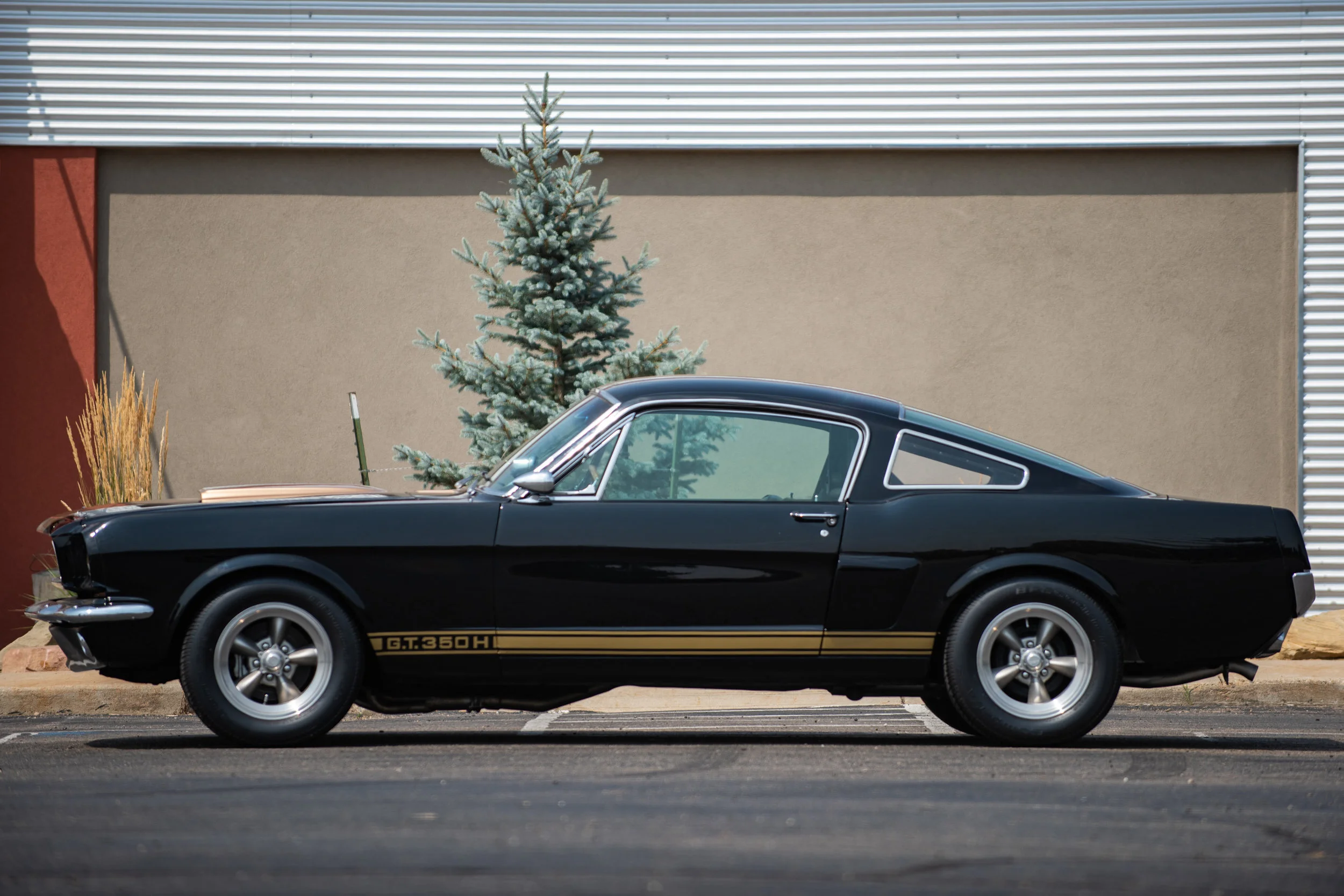 ShelbyGT350_01.jpg