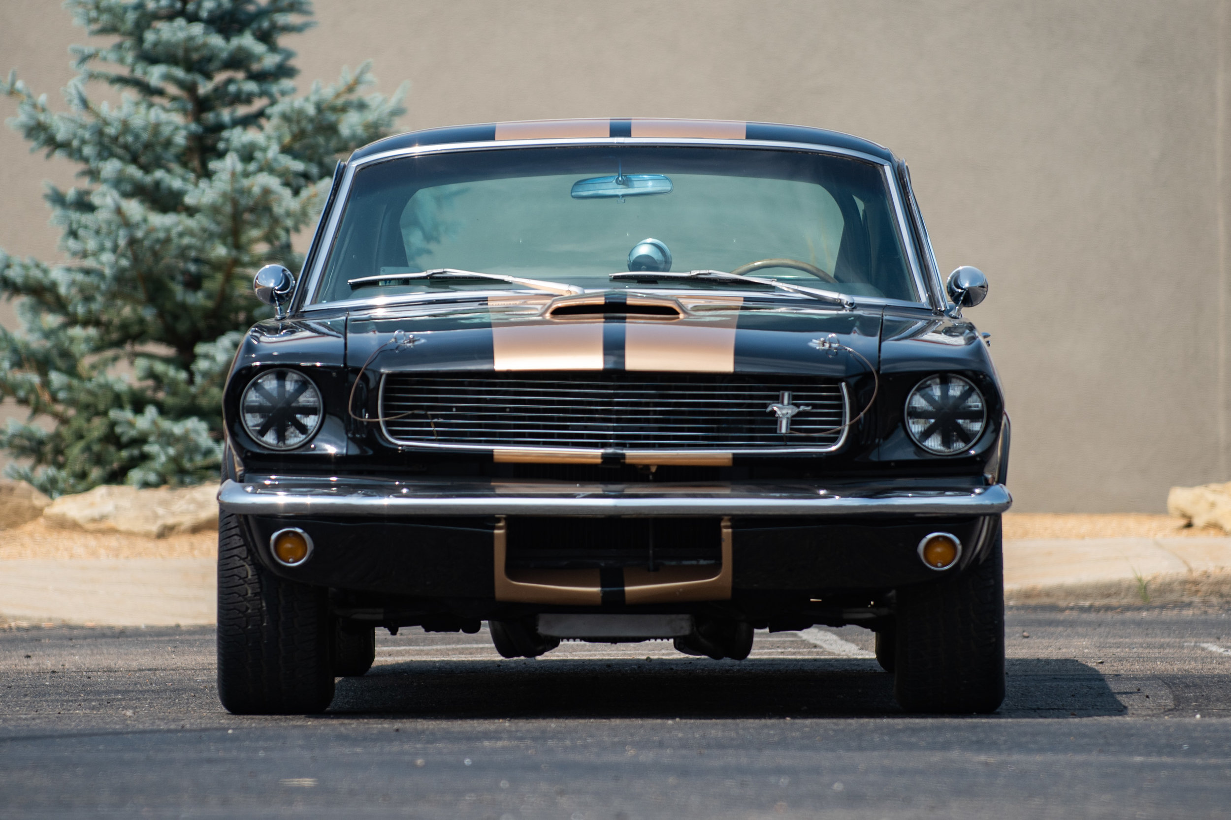 ShelbyGT350_03.jpg